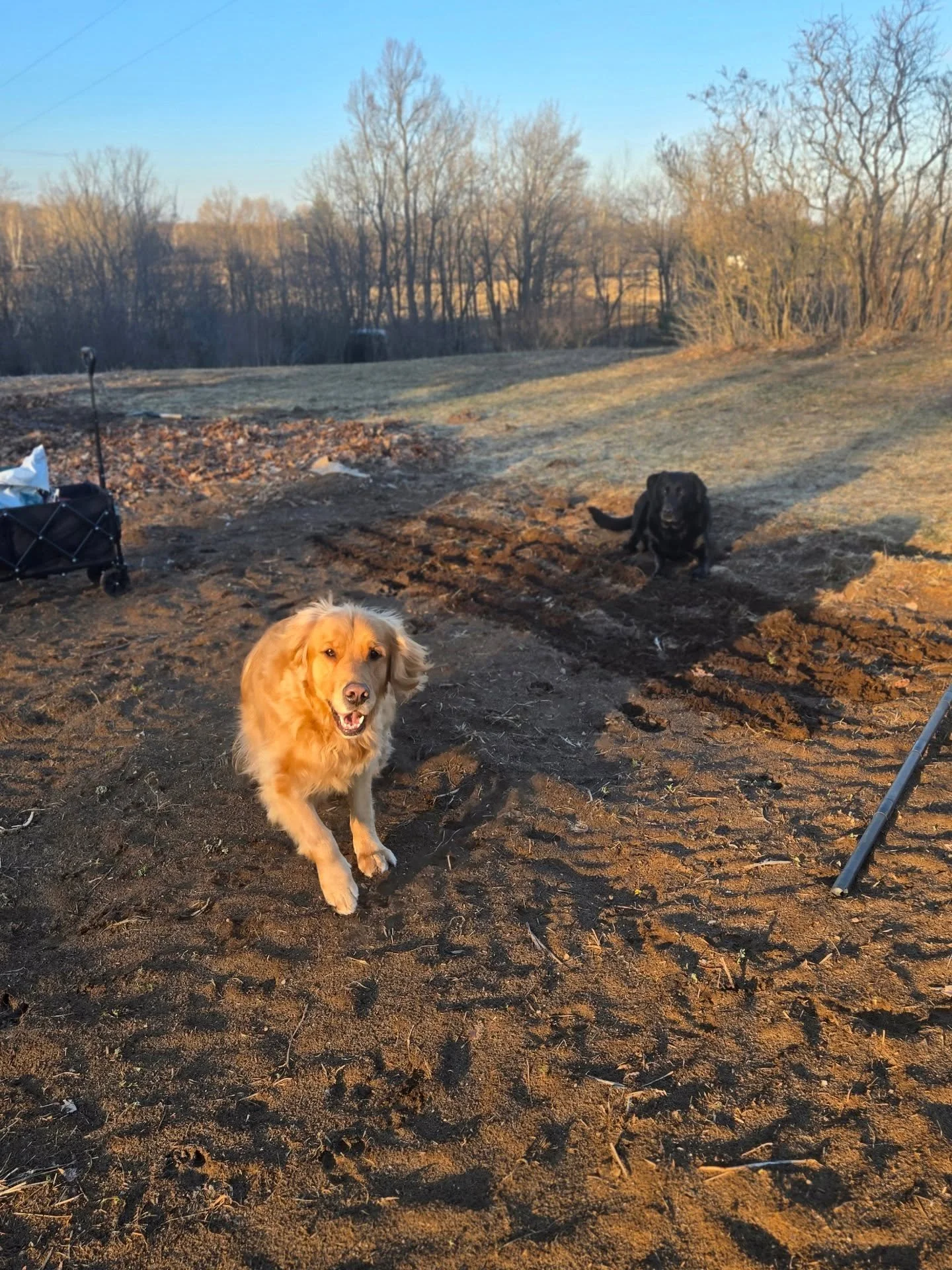 We're outside soaking up the sun 🌞 
It's officially spring planting 💐

#lockhartlaneseedandflower #coolflowers #sunshine