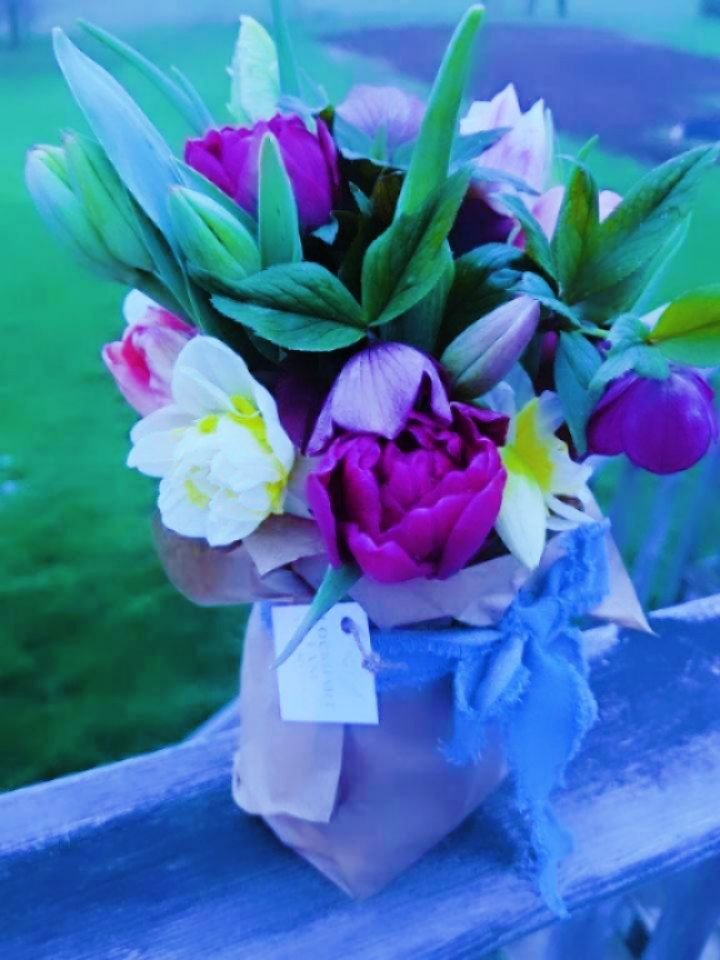 The birds are chirping, Callaway is thumping his bone in the background, and it is a beautiful start to the day.

A sweet bouquet is heading to a special Marigold this morning. Just look at that dark purple hellebore from my mom&rsquo;s garden. She h