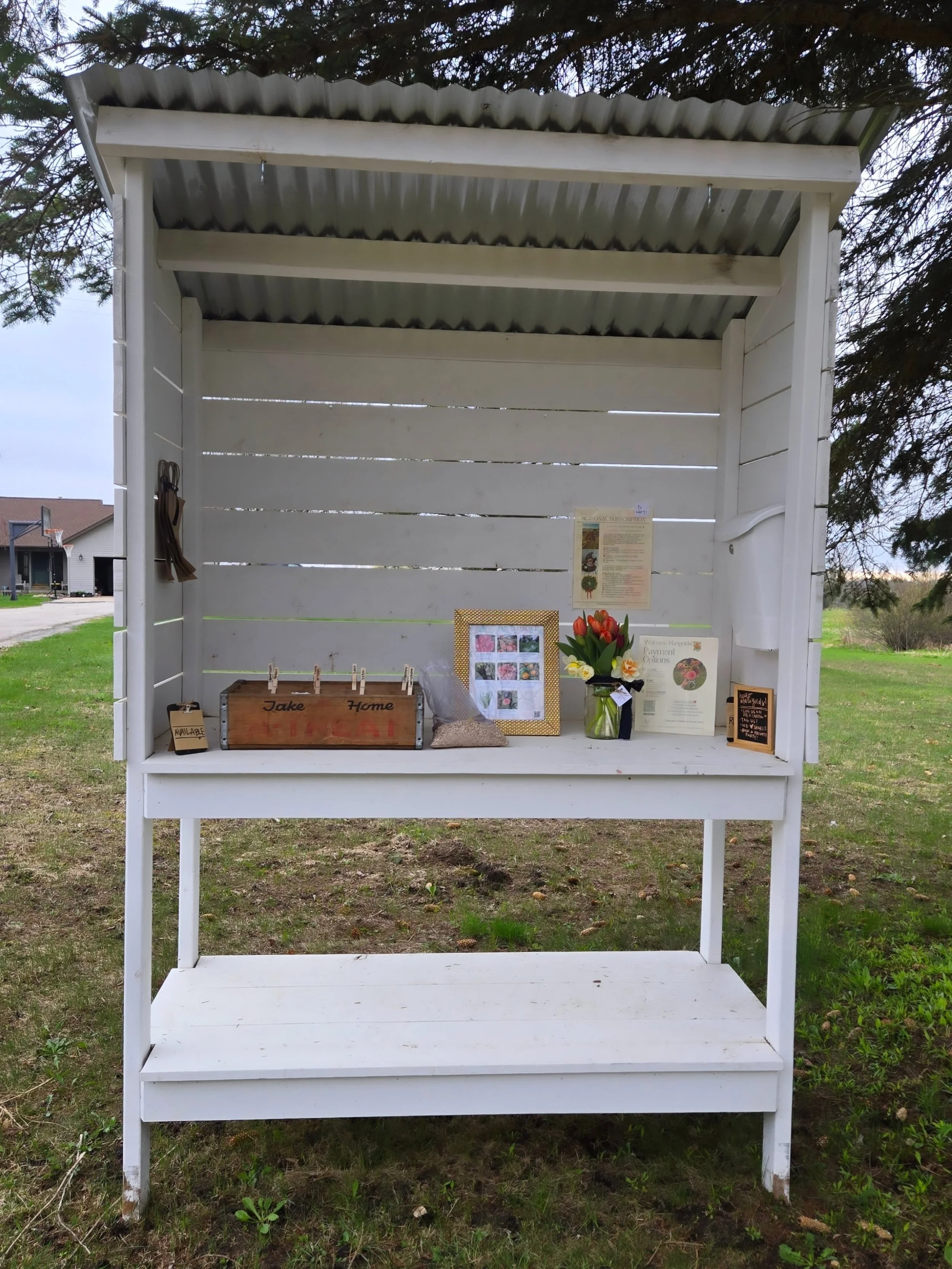 The flower stand is starting to open for the season 🌷

For now, we&rsquo;ll be open Saturdays and Sundays
 📍3836 Lakola Rd, Reed City

At the stand right now: 
&bull; Seeds
&bull; Mystery dahlia tubers
&bull; One bouquet left

How it works: Stop by