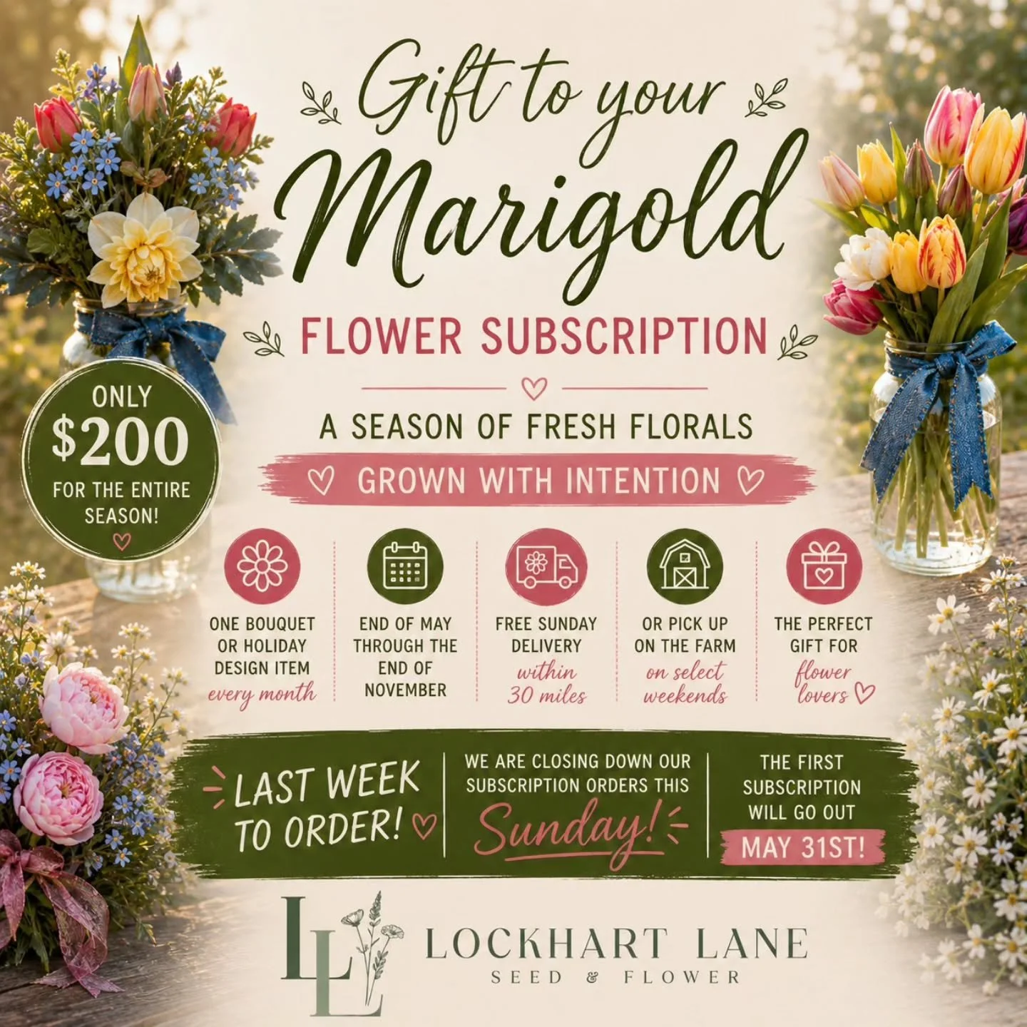 LAST WEEK to order our Marigold Flower Subscriptions 💐🌿

We are officially closing subscription orders this Sunday!

If you&rsquo;ve been thinking about gifting flowers that keep on giving, this is your sign 🤍

For $200, your special someone will 