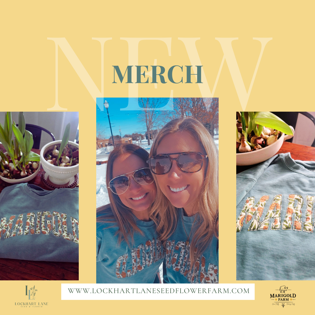 Brown and White Modern New Collection Instagram Post.png