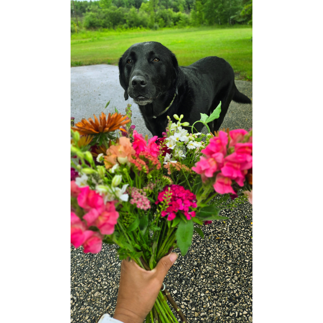 Copy of other flowres (1).png