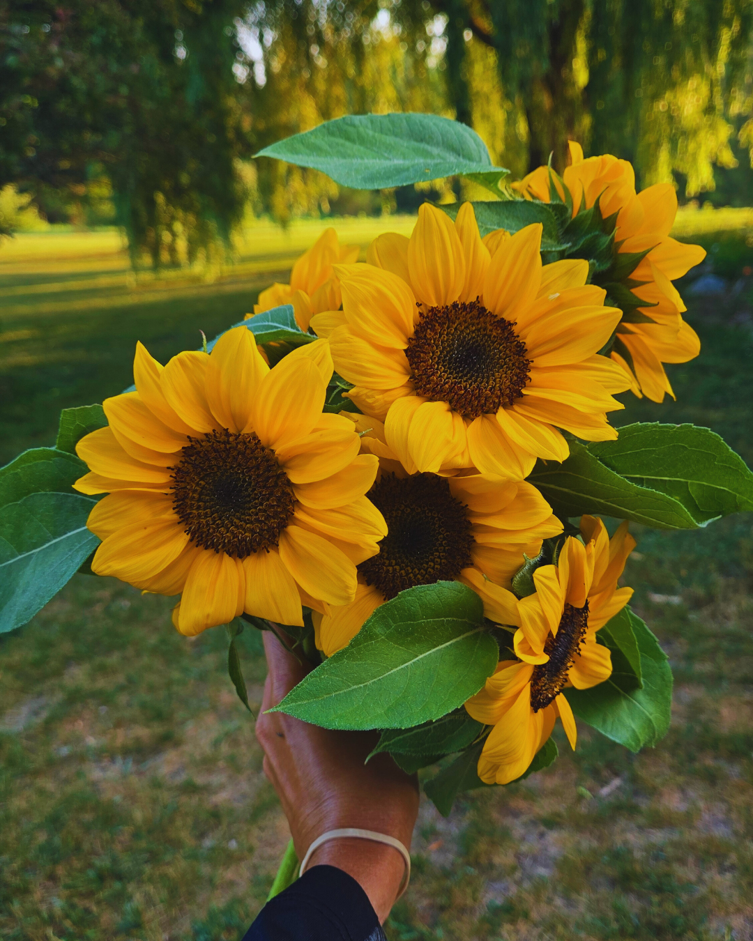 Little Birdee Blend (3).png