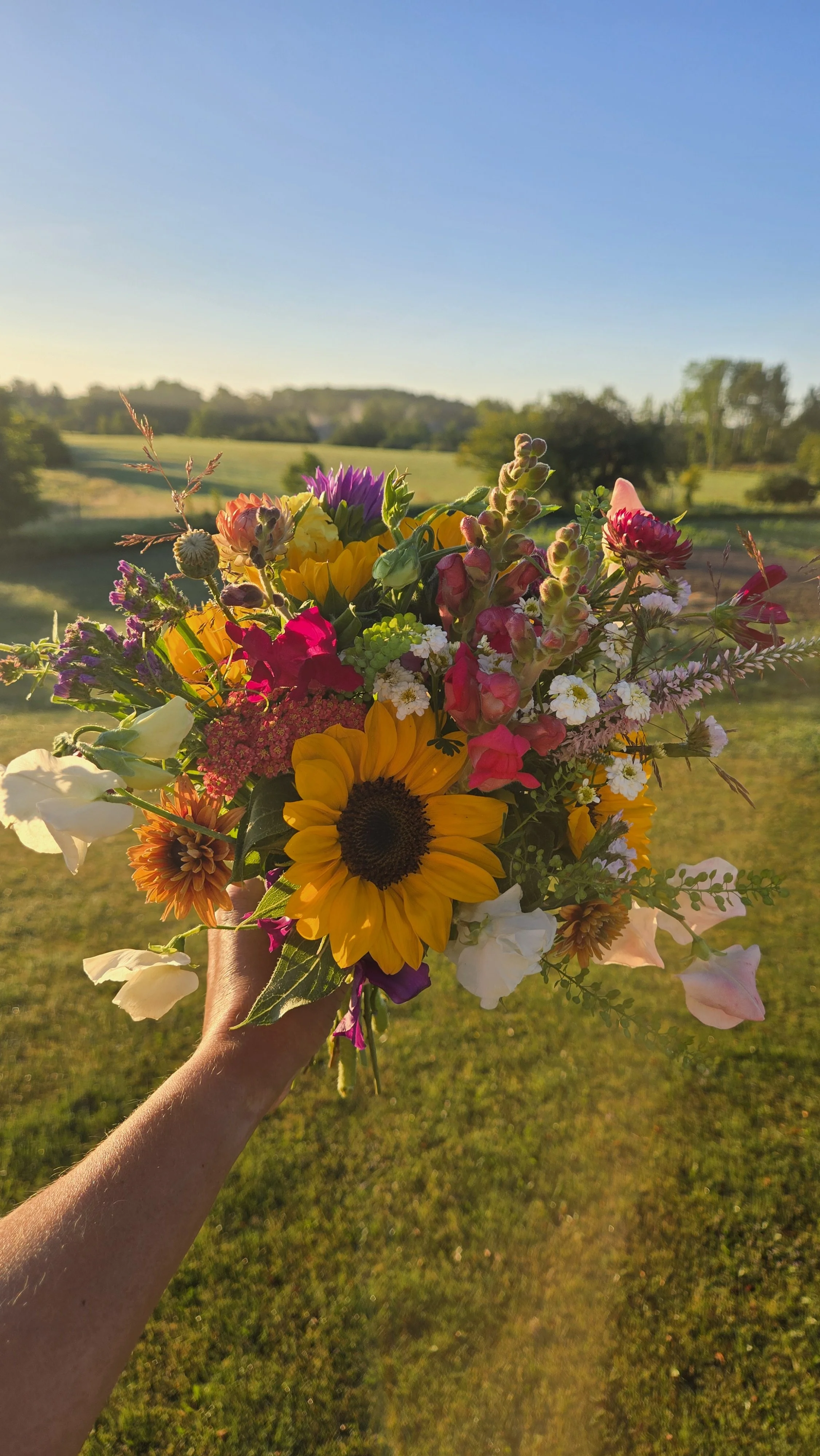 20250718_065500 (1).jpg