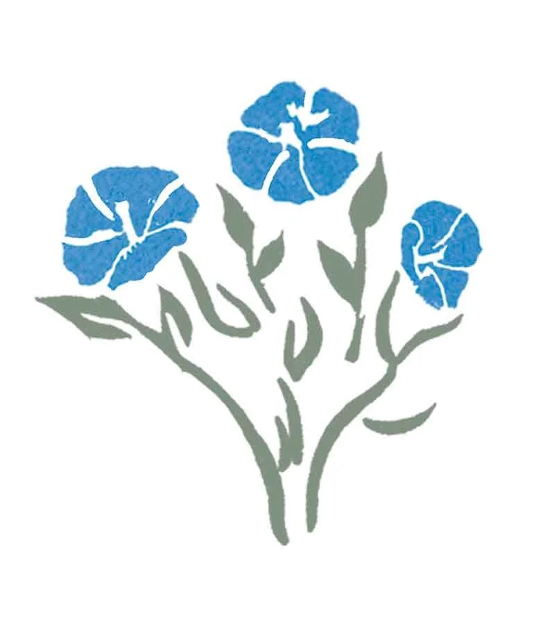 French Cornflower Illustration