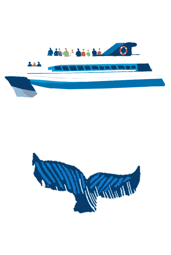 Illustration by Anna Simmons of a tourist wale watching boat with figures on top deck observing a whale tail in the foreground
