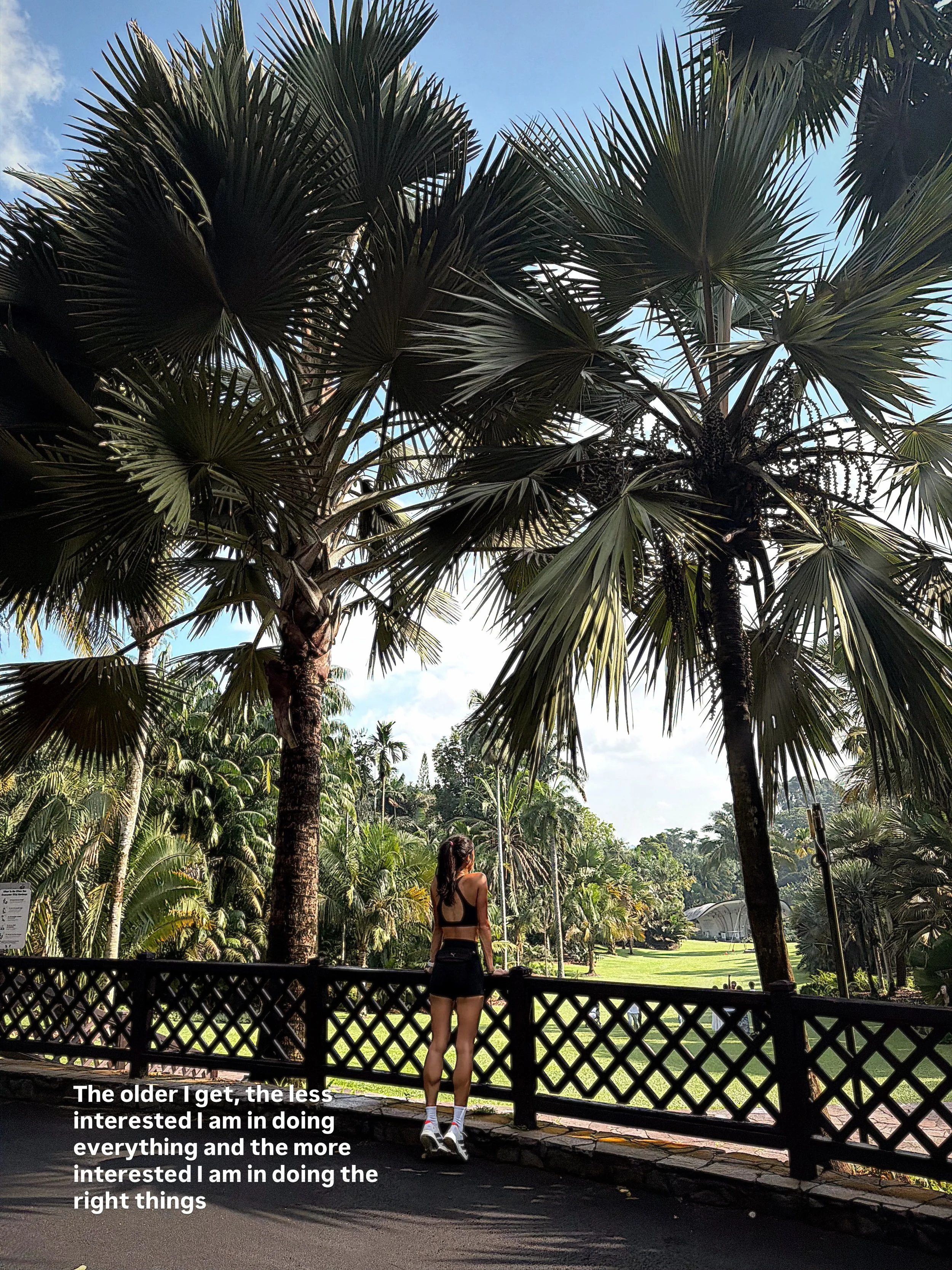 🌴Weekend in Singapore / Just a slow life doing things in my own time. Not being rushed is the ultimate healing I can give myself after Mon-Fri

This week I did 30.55km, which is slightly more than I would have wanted to. Sometimes I start running an