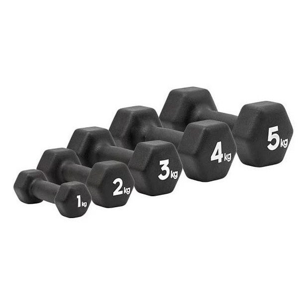 Core/pilates dumbbells