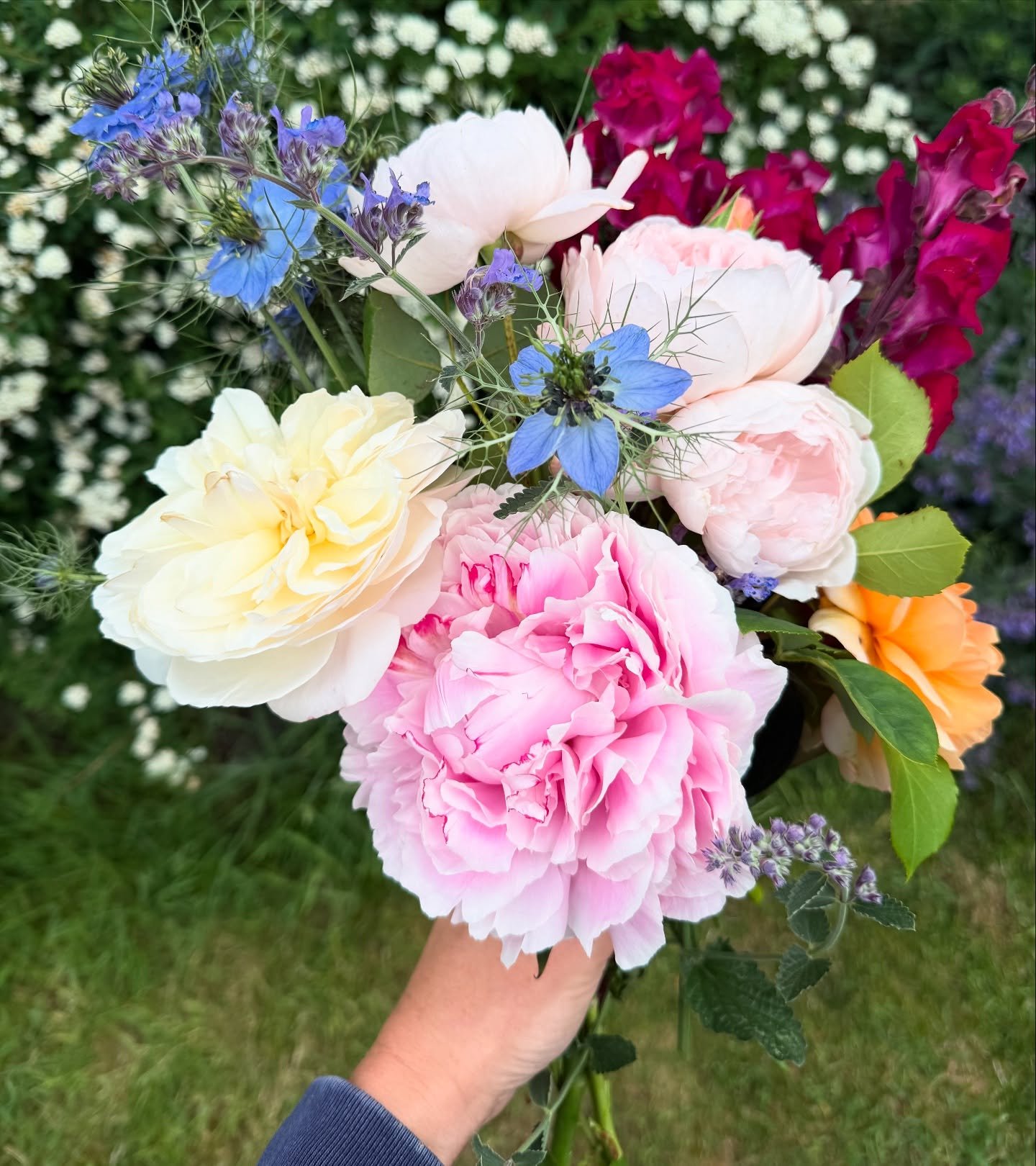 June garden flowers 🌝 #flowersforflorists #peonies #englishroses #hotchocolaterose #sarahbernhardt #cutflowers