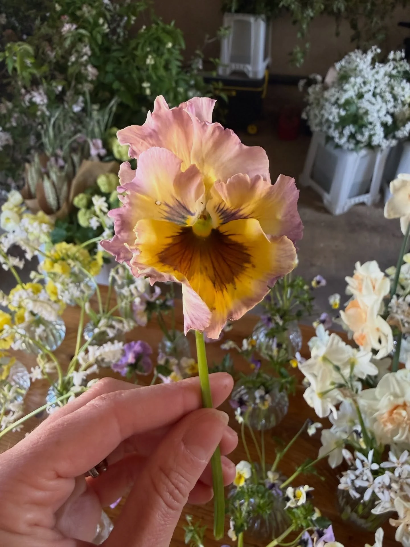 Work so far this year&hellip; (pretty lucky that I get to play with flowers as an actual job and work with the best of girls 🥰🥰🥰🥰)
