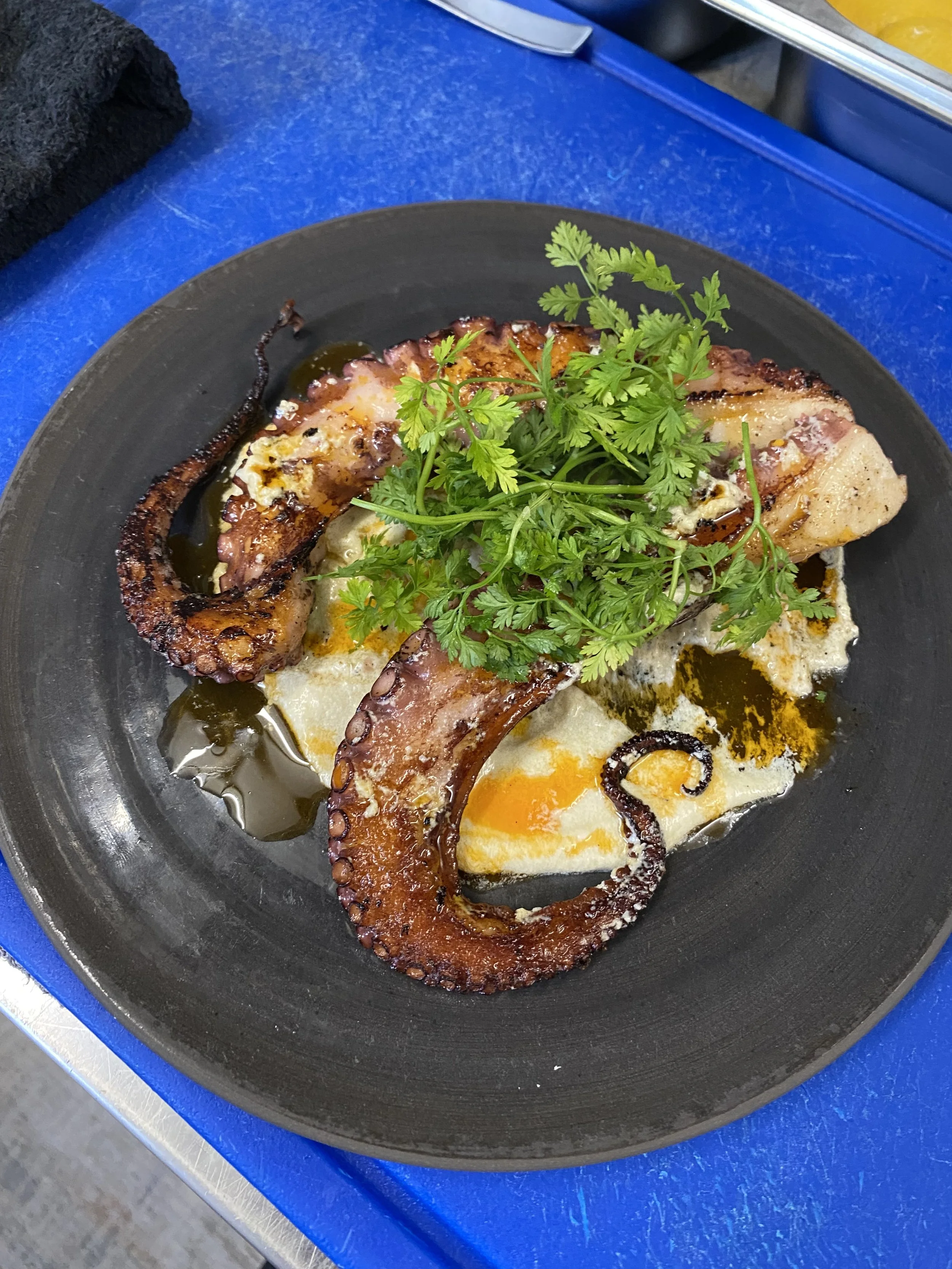 Grilled octopus