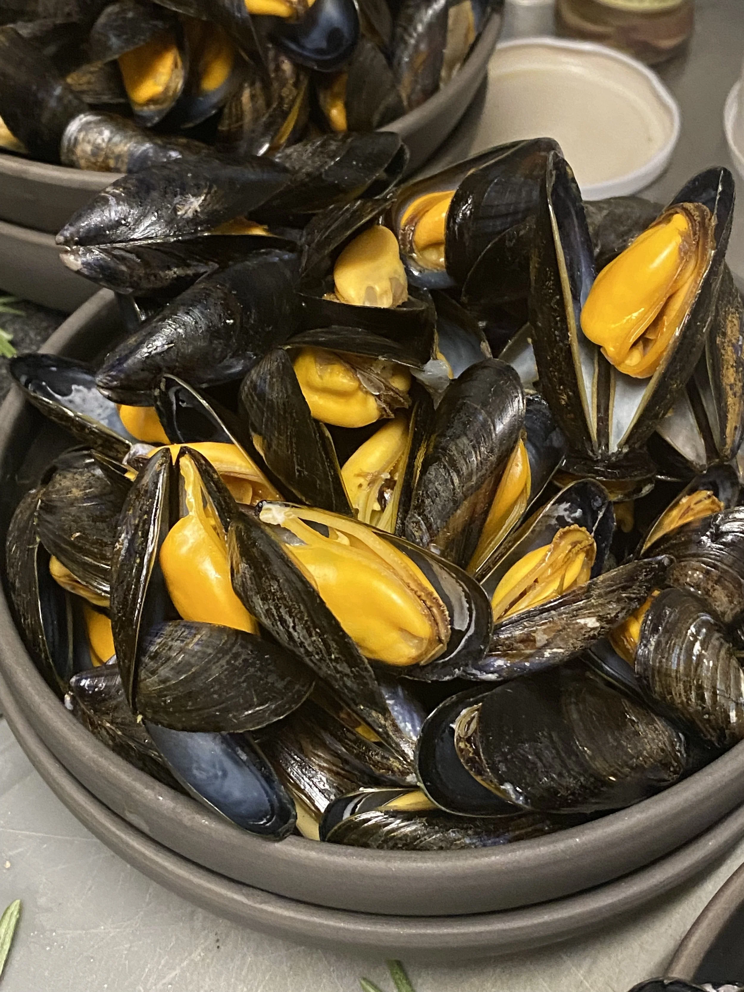 Moules de Bouchot