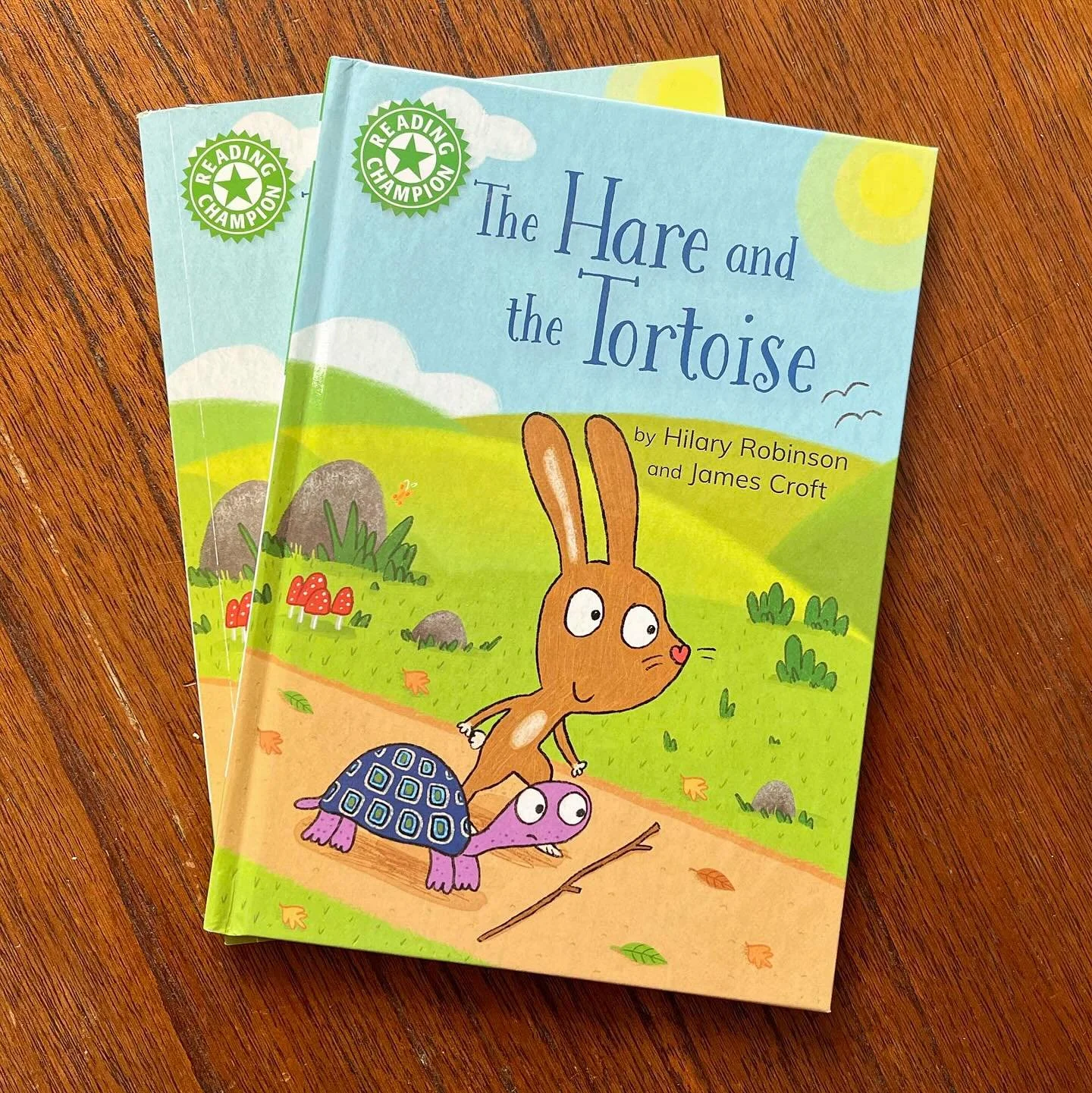 I&rsquo;ve just had a book published by Franklin Watts, an imprint of Hachette. I did the artwork about a year ago, so it&rsquo;s great to finally see it in print. All the artwork was done digitally in procreate and photoshop. I&rsquo;ve just been ha