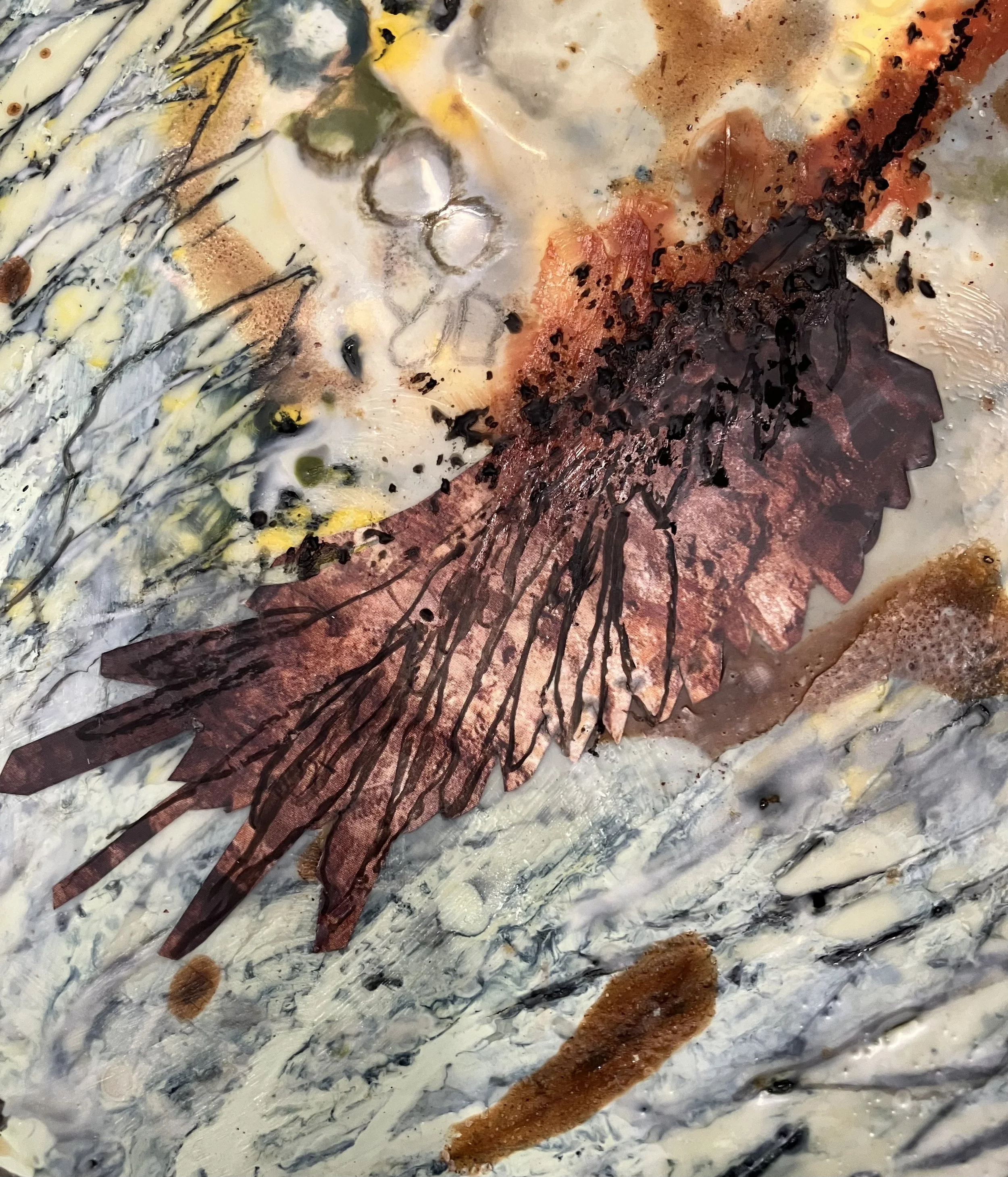 Icarus's Tailspin
