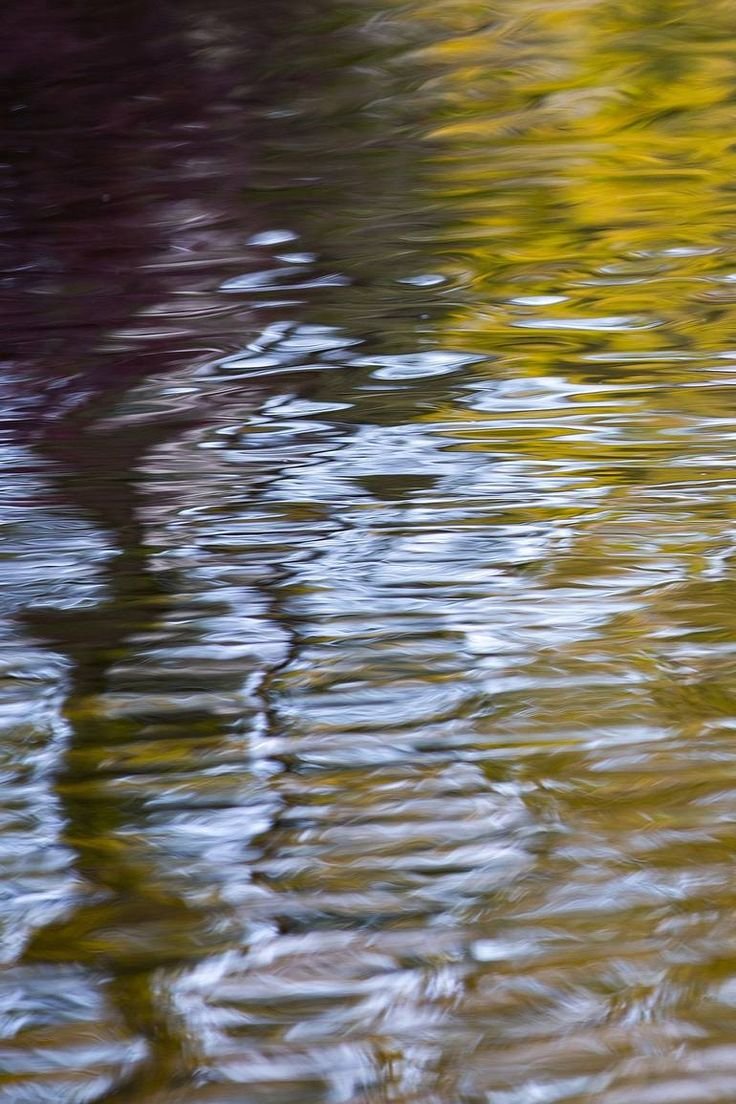 ripples.jpg