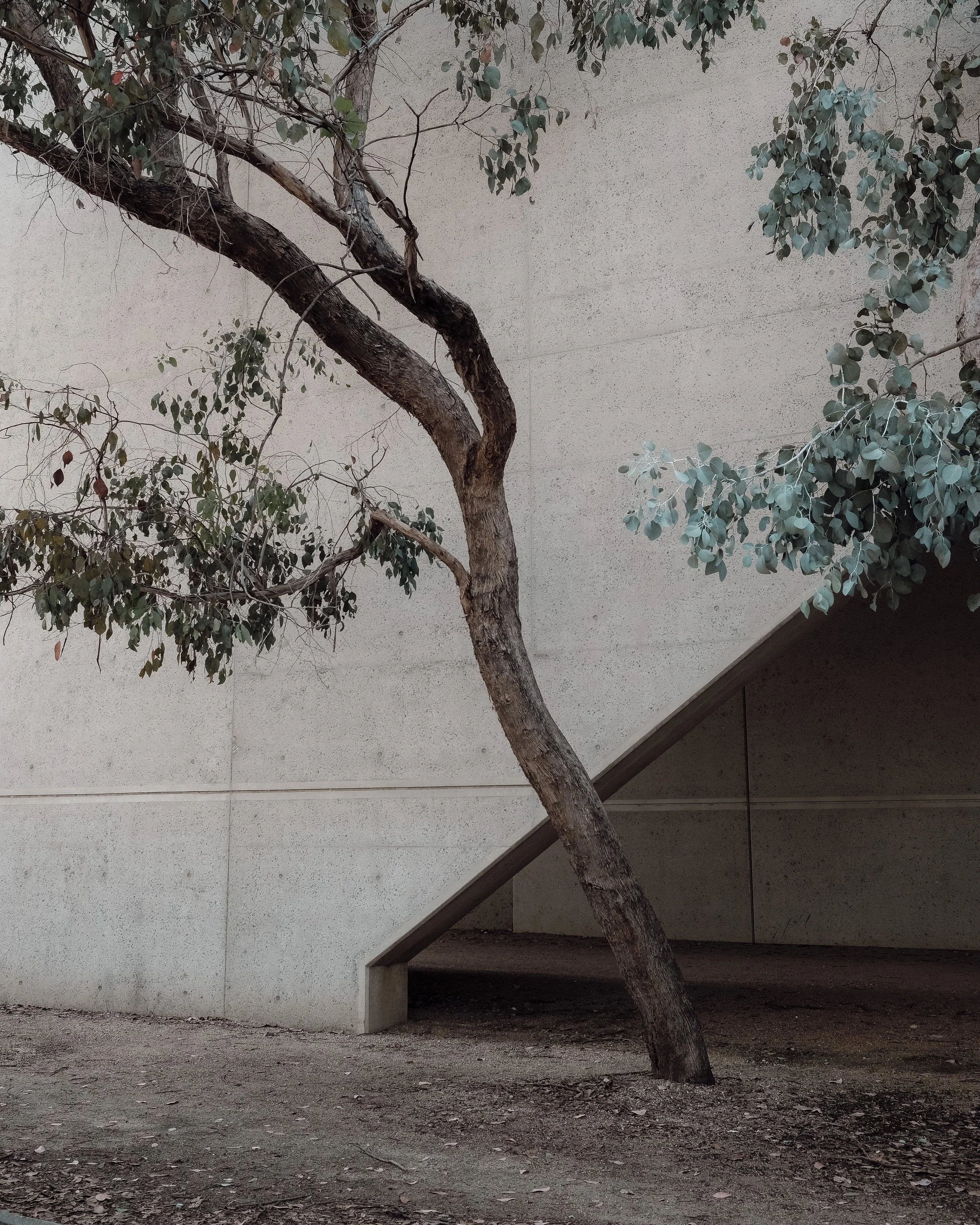 National Gallery of Australia by Colin Madigan