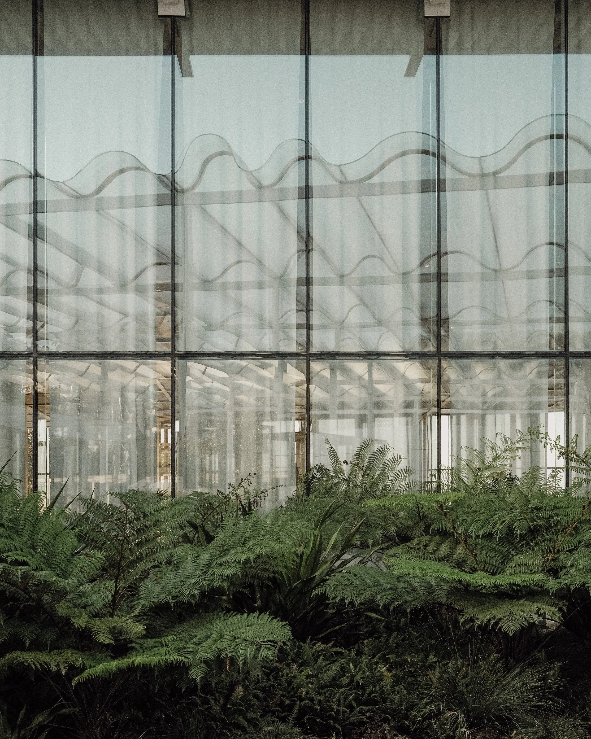 Art Gallery of NSW by SAANA