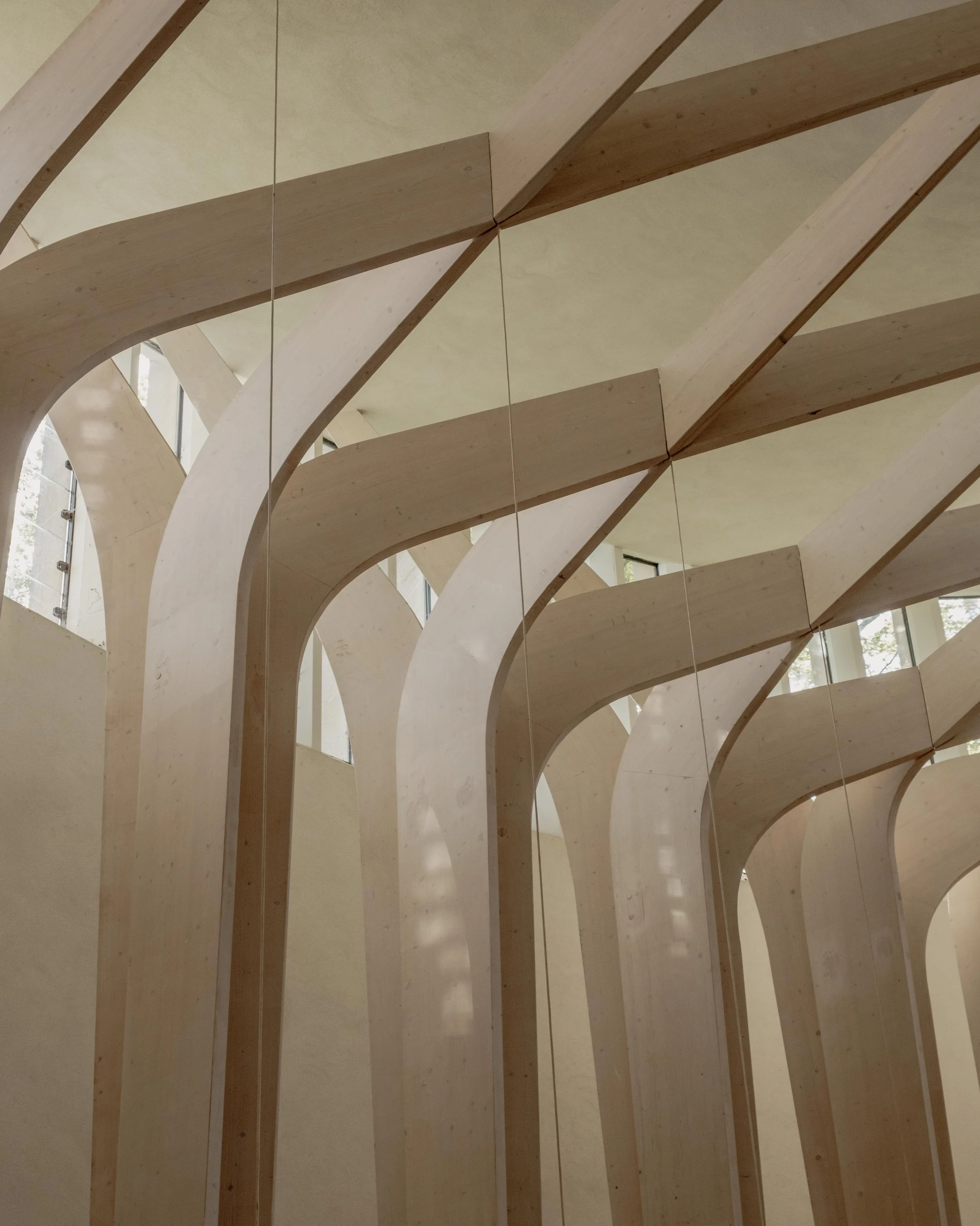 Bishop Edward King Chapel  |  Niall McLoughlin Architects