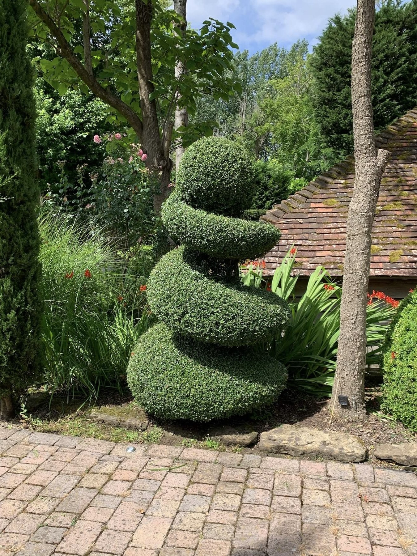 Topiary - Front - After 2.jpeg