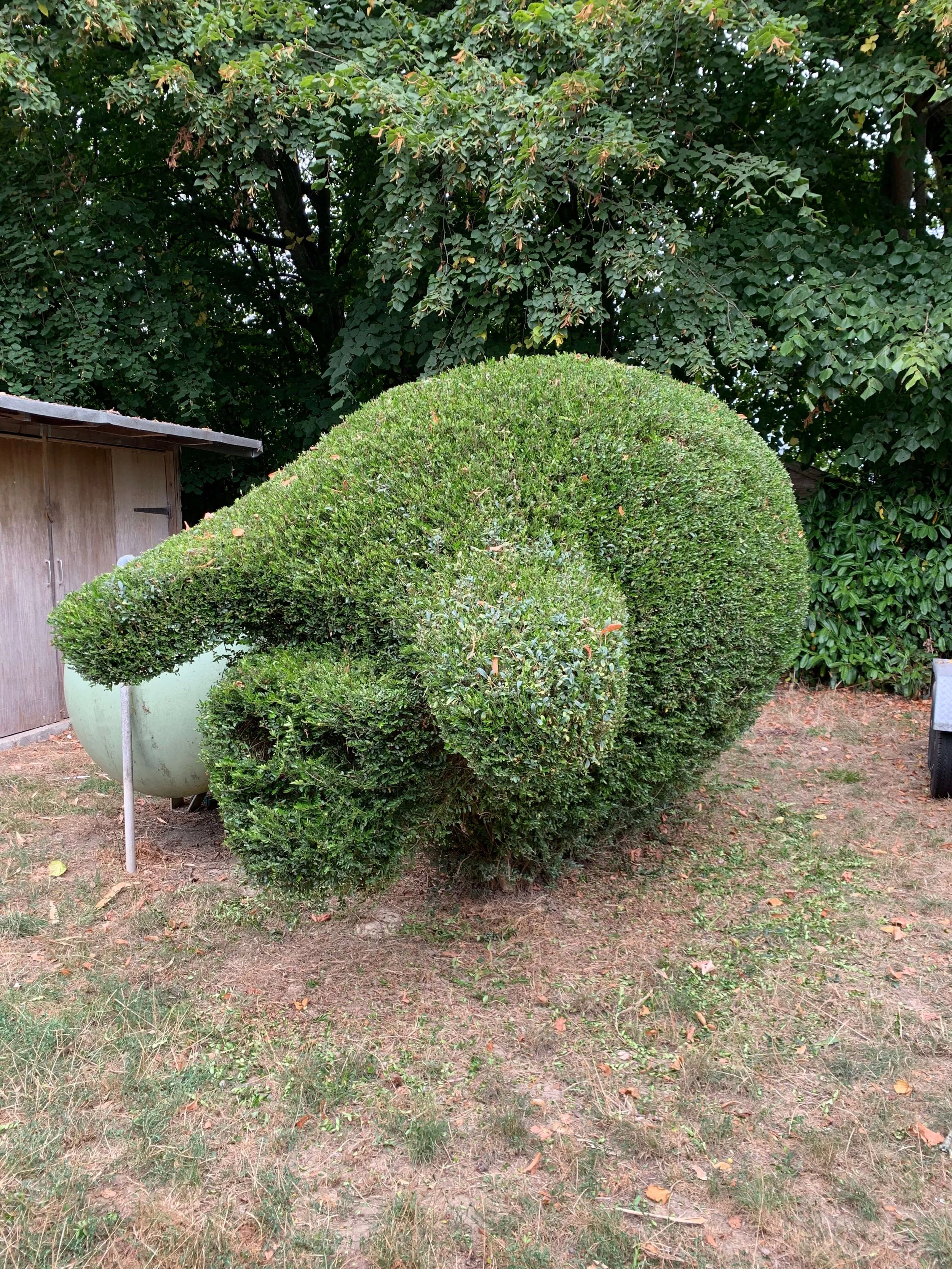 Sussex Hedge Cutting - Pif Topiary.jpg