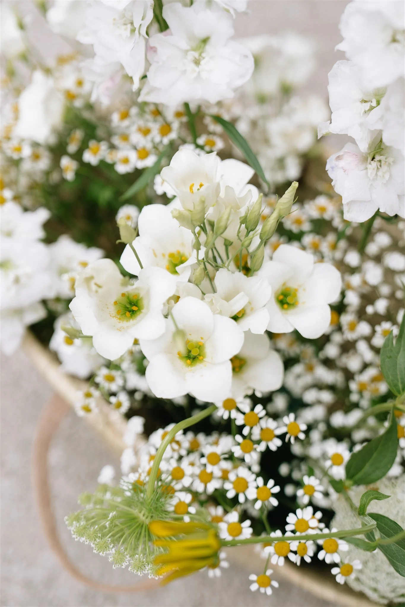 Anne-Sophie & Charles -51 - Copie.jpg