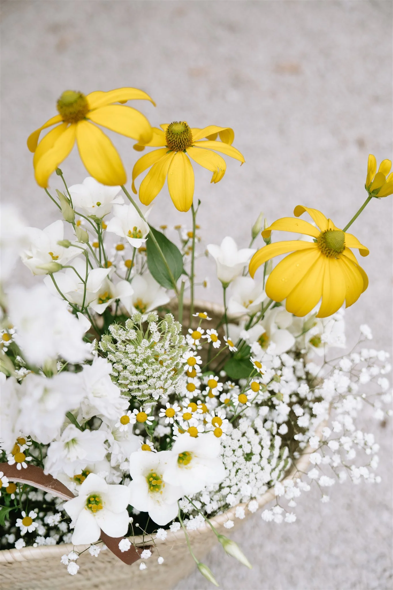 Anne-Sophie & Charles -52 - Copie.jpg