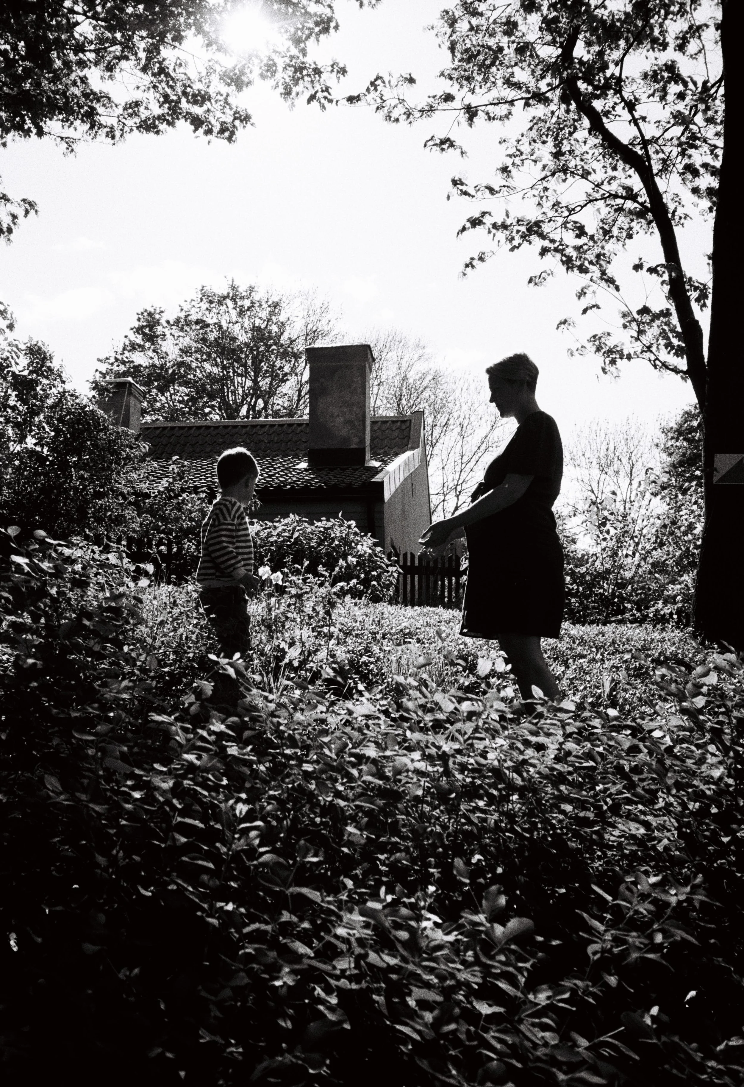 film_fernquist_040 1.jpg