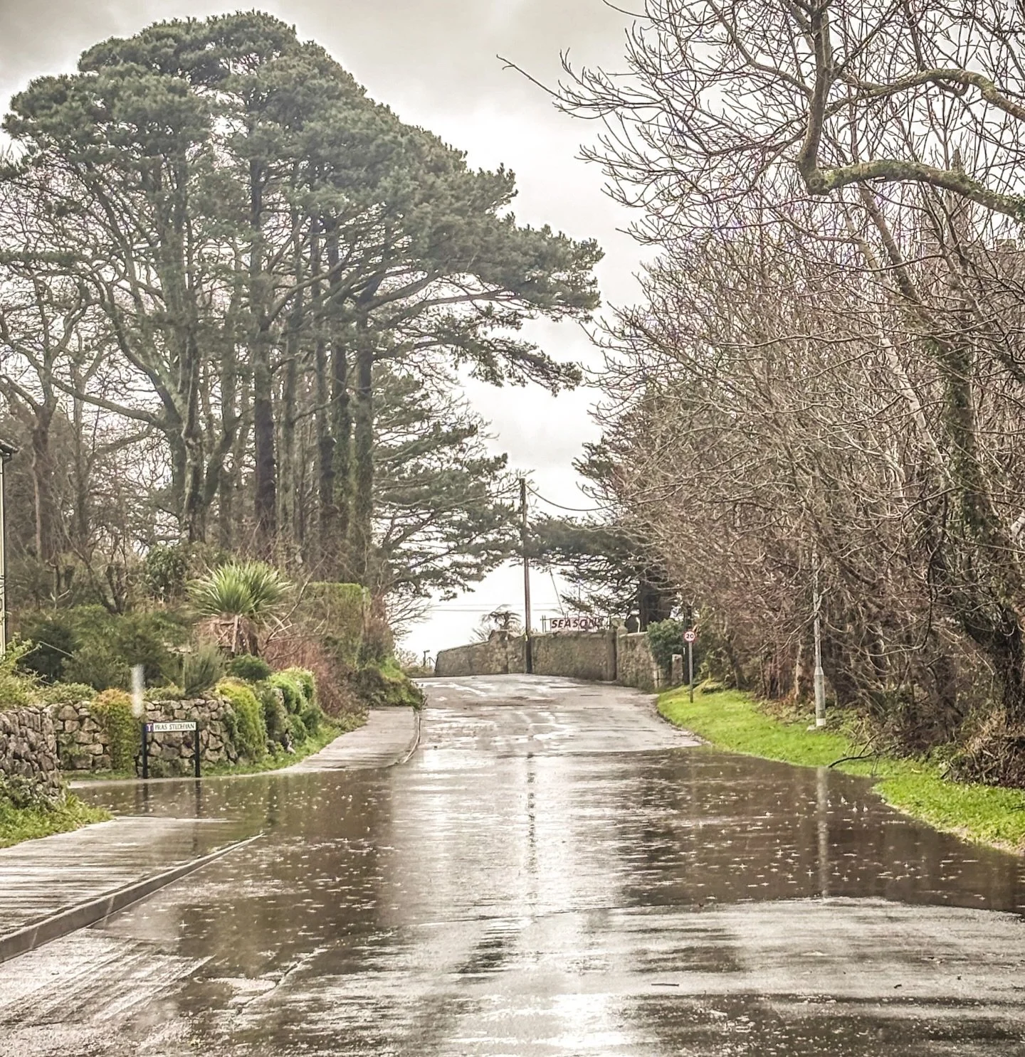 It&rsquo;s raining so hard in Cornwall.
I&rsquo;m in the shed building an ark.

If two &ldquo;innovative solutions&rdquo; turn up,
they&rsquo;re staying outside.