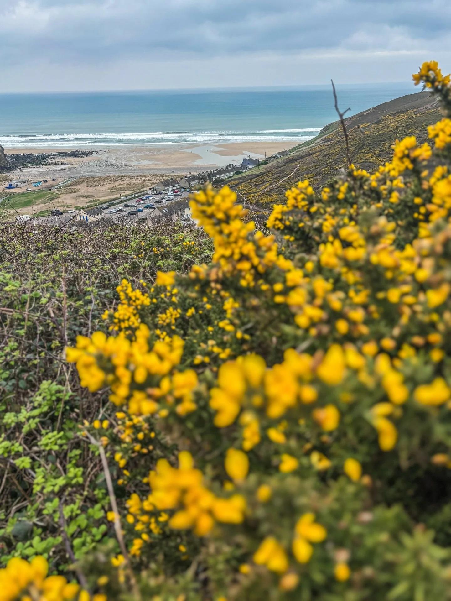Where wuz I? 👀

St Piran&rsquo;s Day yesterday.

Beautiful beach.
Wild Atlantic.

Parked in a lay-by.
Ate a pasty.

#whereami