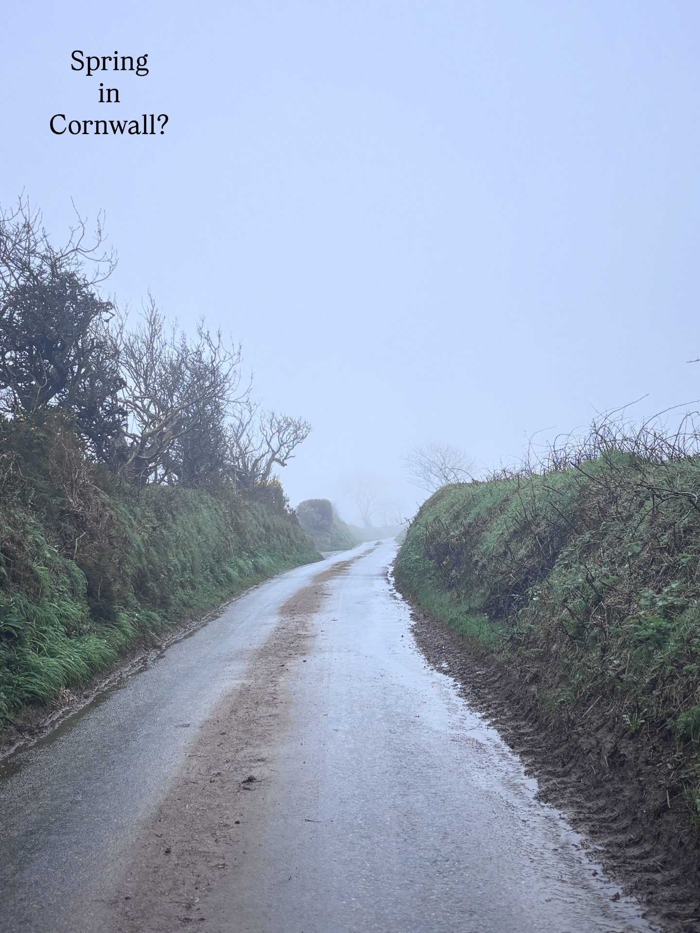 Went for a spring walk.

Spring has not attended.