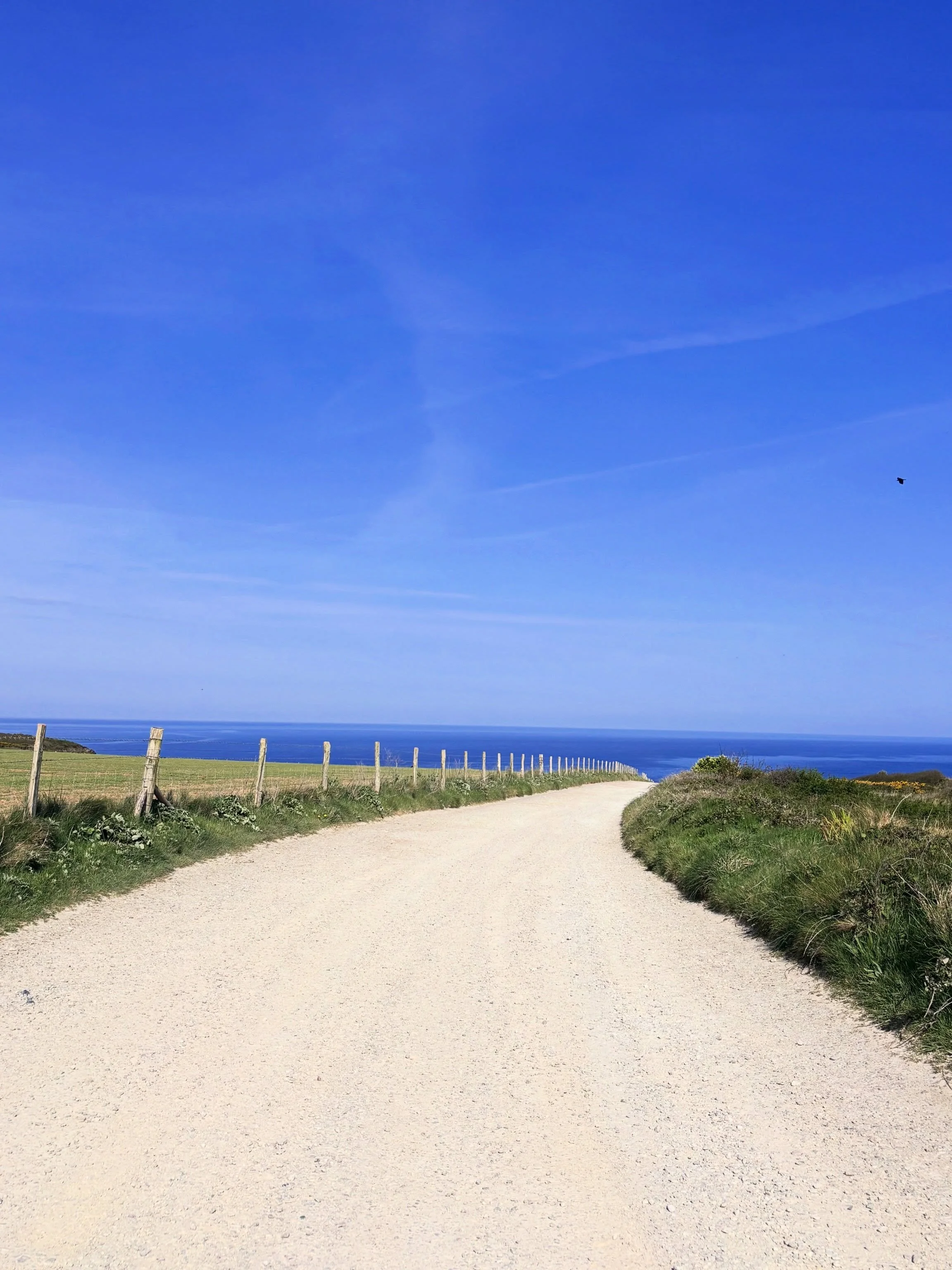 Cornwall does this quite well.

Makes you remember that not every problem needs solving tonight.

🩵