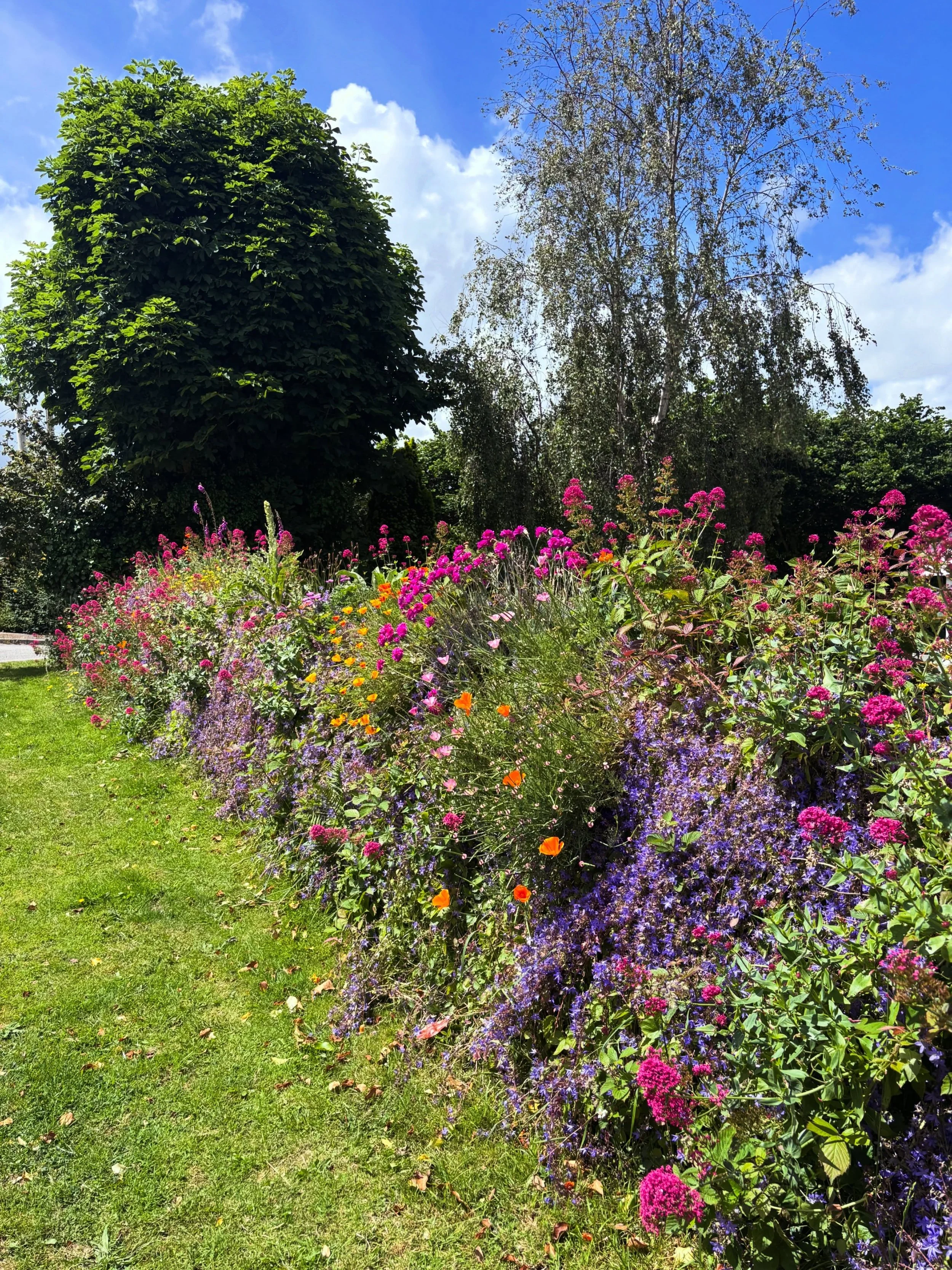 There is a wall in this photograph.

The flowers have launched a successful takeover. 🌸

Which seems unfair because the wall did all the heavy lifting.

Business can be like that.

You spend months building the foundations.

Then people fall in love