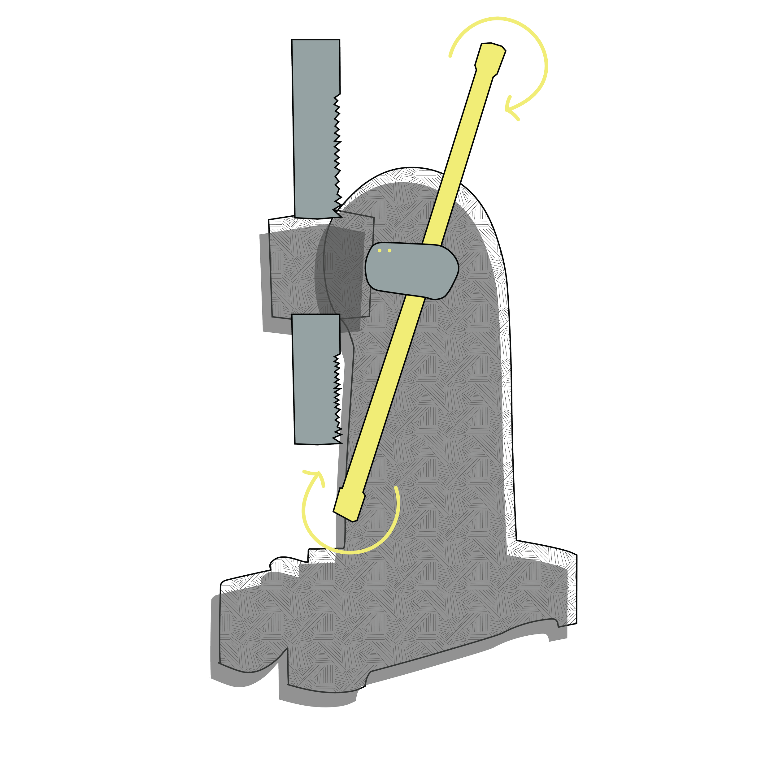 arborpress-03.png
