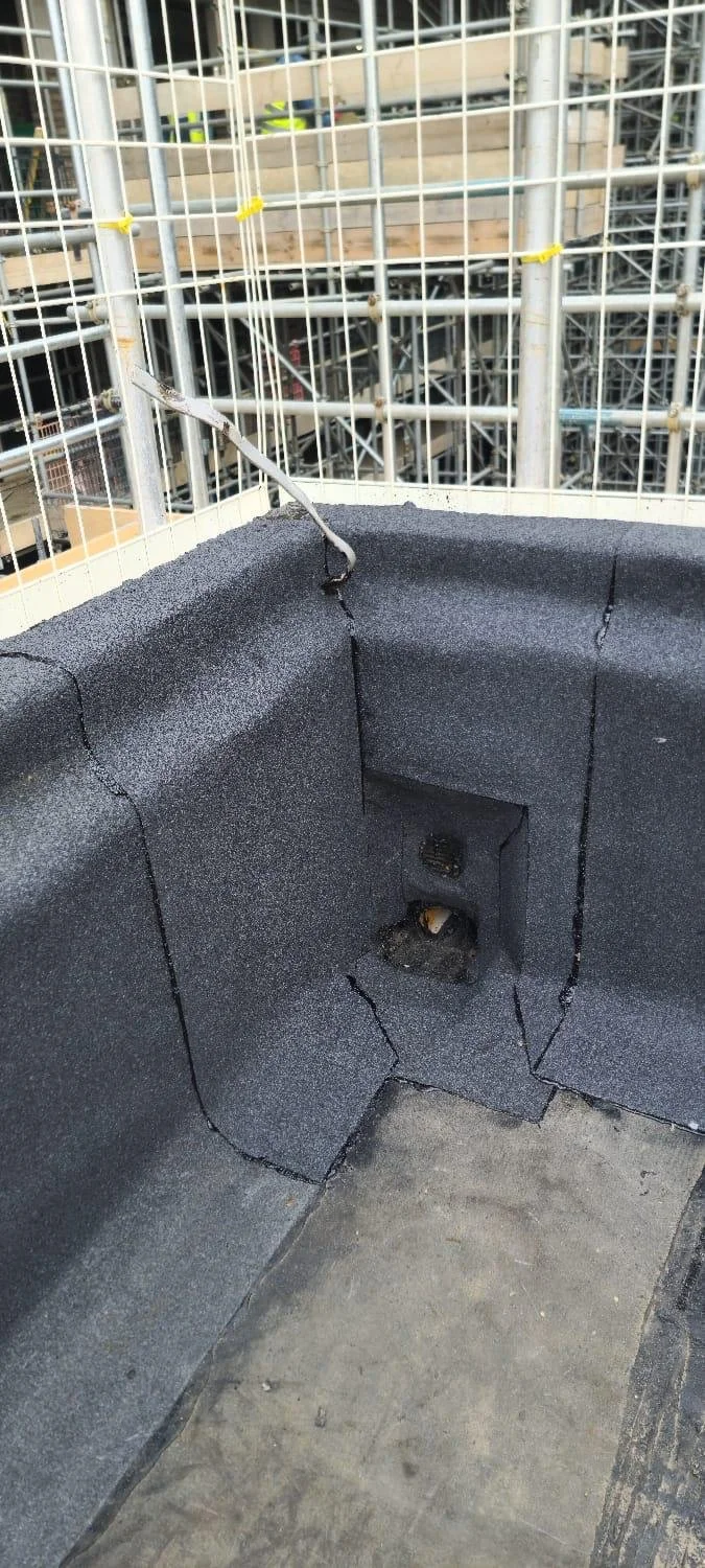 WhatsApp Image 2026-02-26 at 12.37.38 (10).jpeg