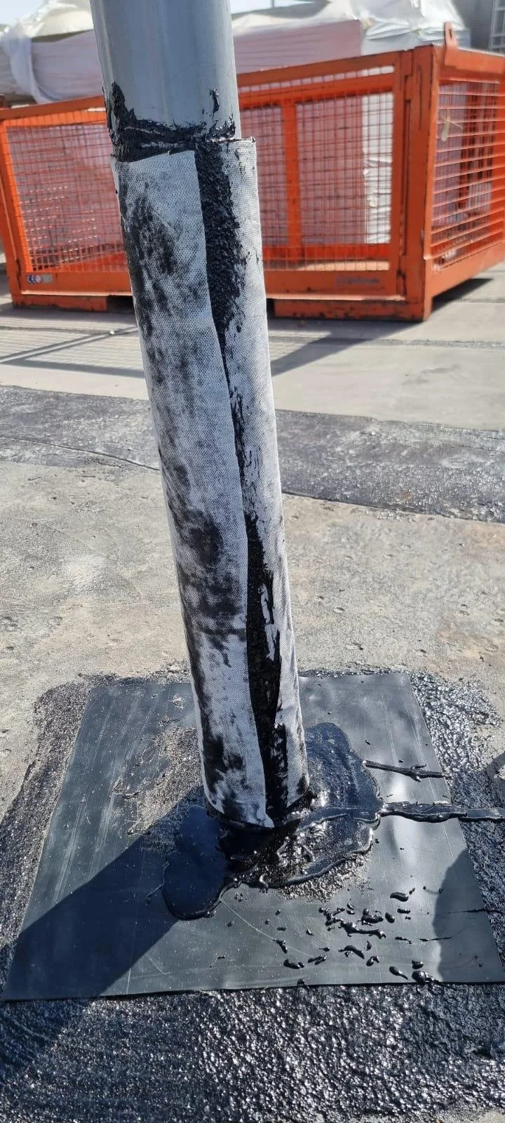 WhatsApp Image 2026-02-26 at 12.37.39 (9).jpeg