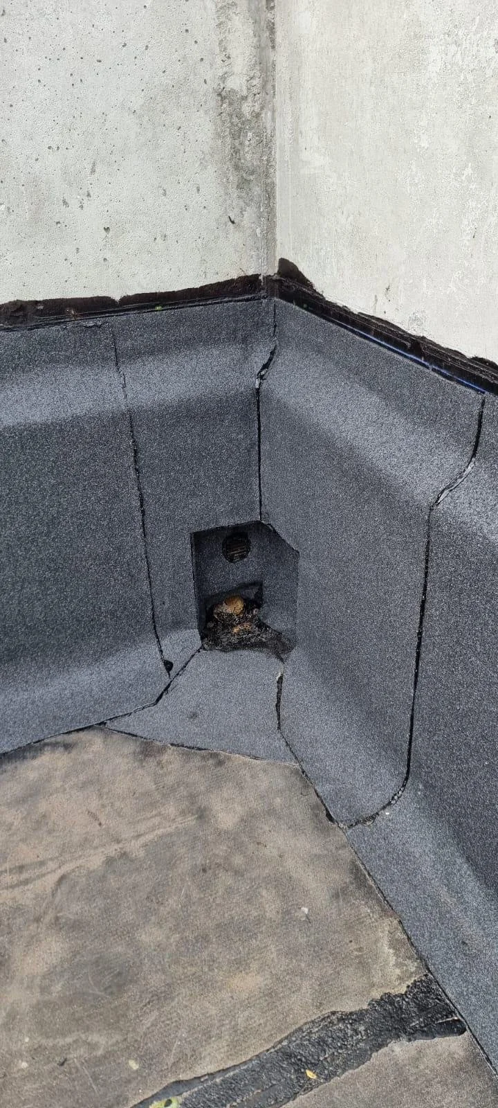 WhatsApp Image 2026-02-26 at 12.37.38 (11).jpeg