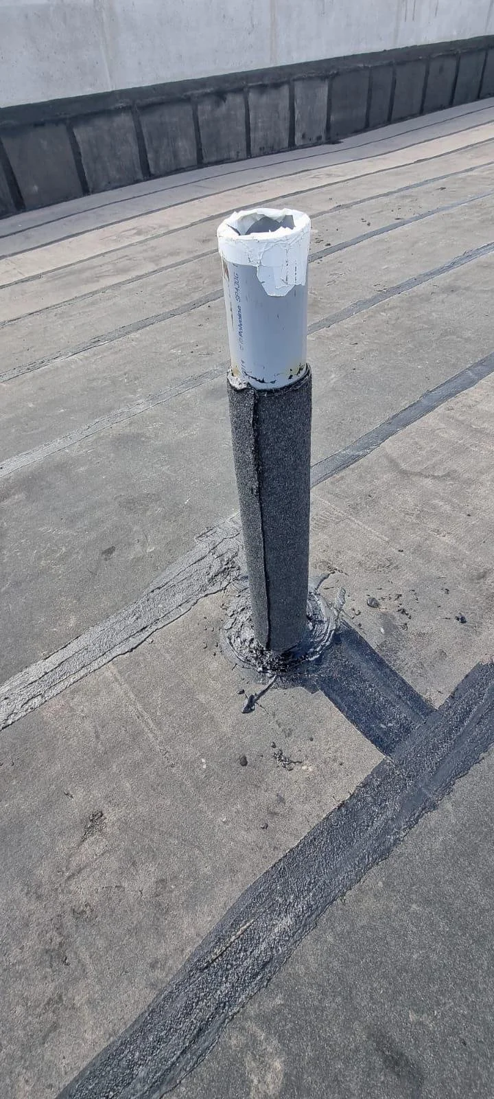 WhatsApp Image 2026-02-26 at 12.37.39 (8).jpeg