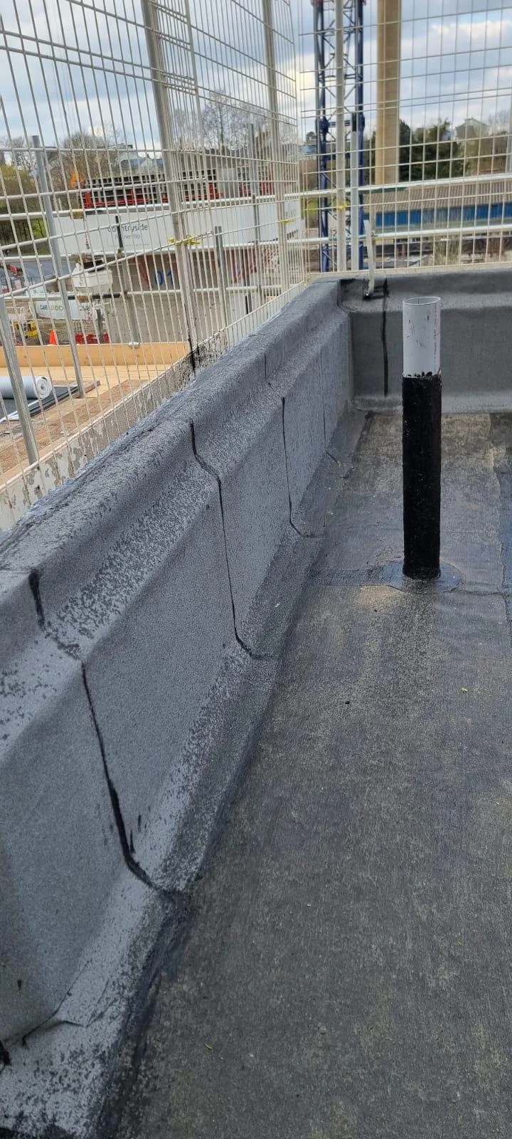 WhatsApp Image 2026-02-26 at 12.37.38 (6).jpeg