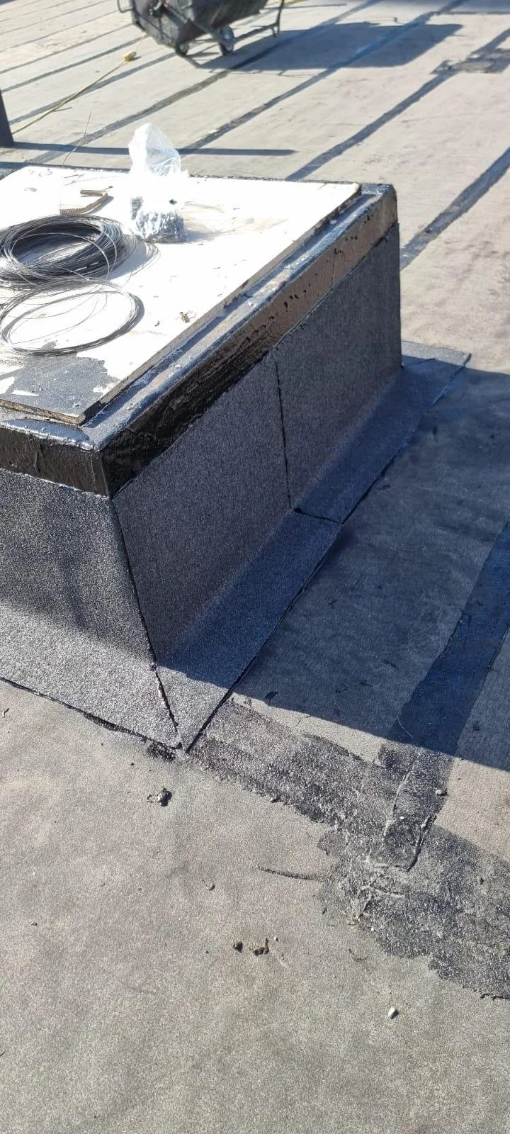 WhatsApp Image 2026-02-26 at 12.37.39 (13).jpeg