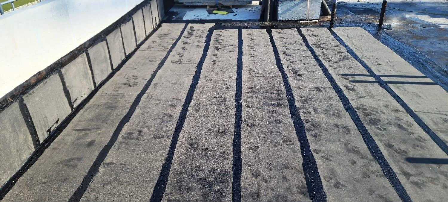 WhatsApp Image 2026-02-26 at 12.37.39 (4).jpeg