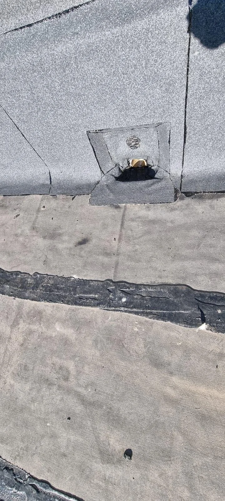 WhatsApp Image 2026-02-26 at 12.37.38 (9).jpeg