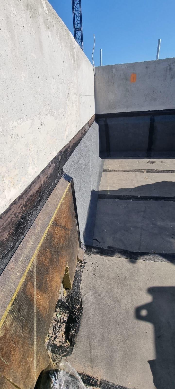 WhatsApp Image 2026-02-26 at 12.37.39 (16).jpeg