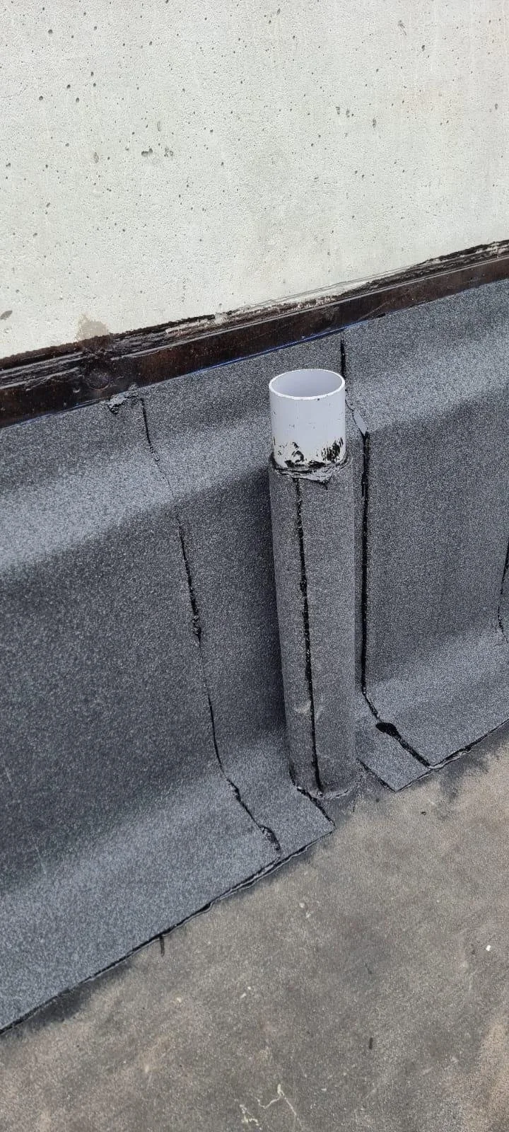 WhatsApp Image 2026-02-26 at 12.37.39.jpeg