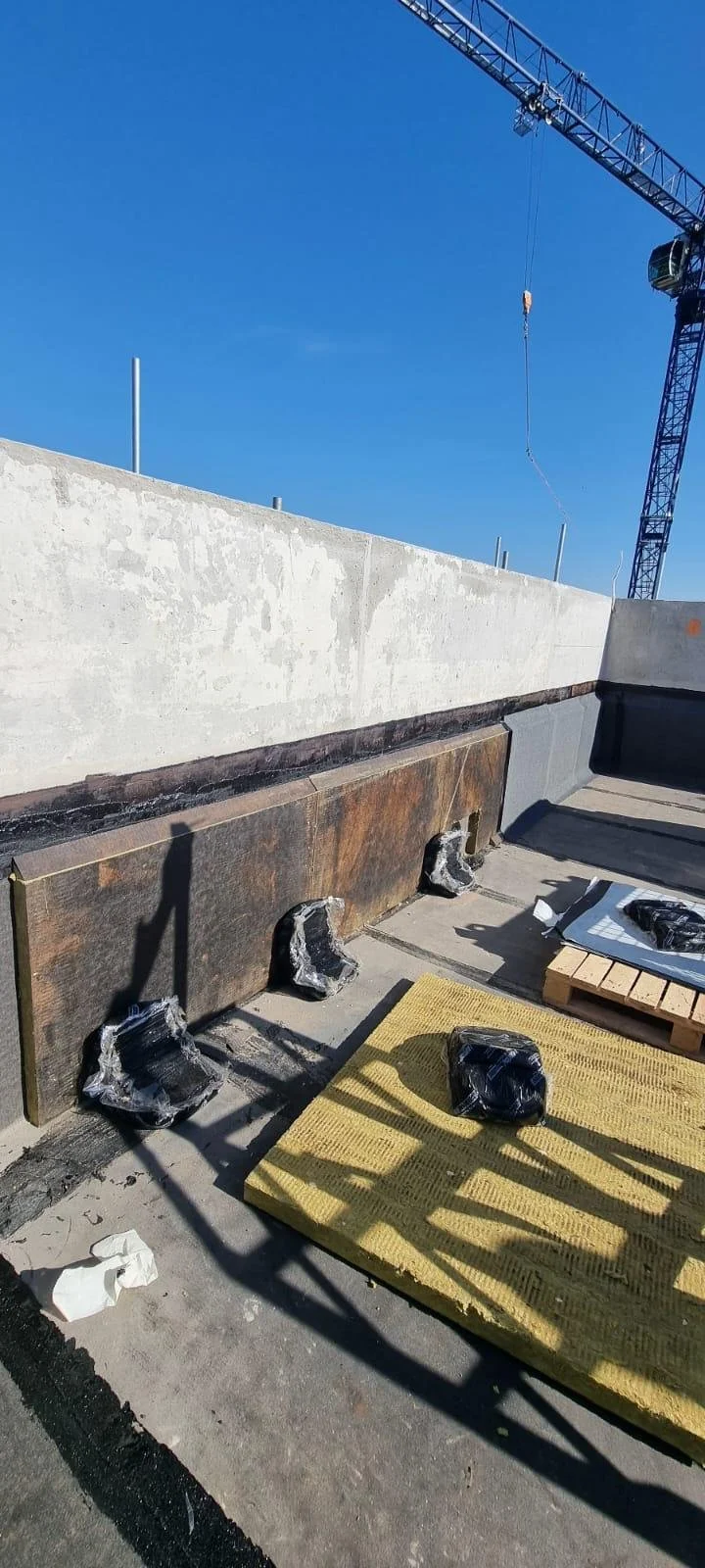 WhatsApp Image 2026-02-26 at 12.37.39 (17).jpeg