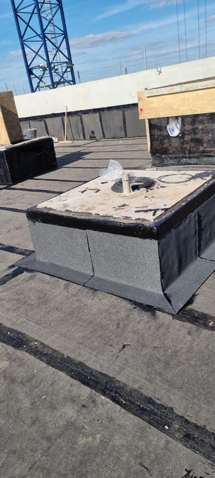 WhatsApp Image 2026-02-26 at 12.37.39 (14).jpeg