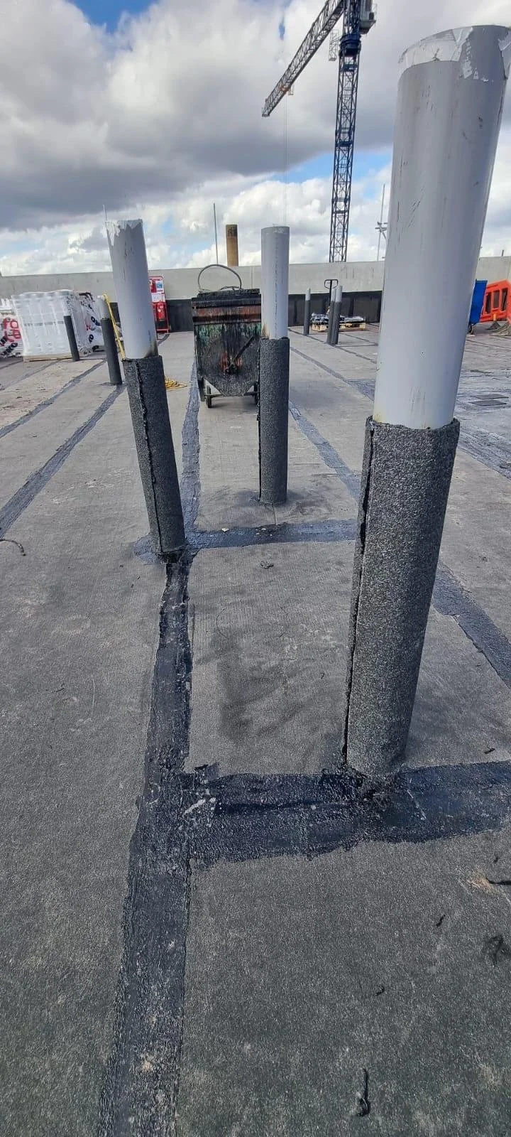 WhatsApp Image 2026-02-26 at 12.37.39 (7).jpeg