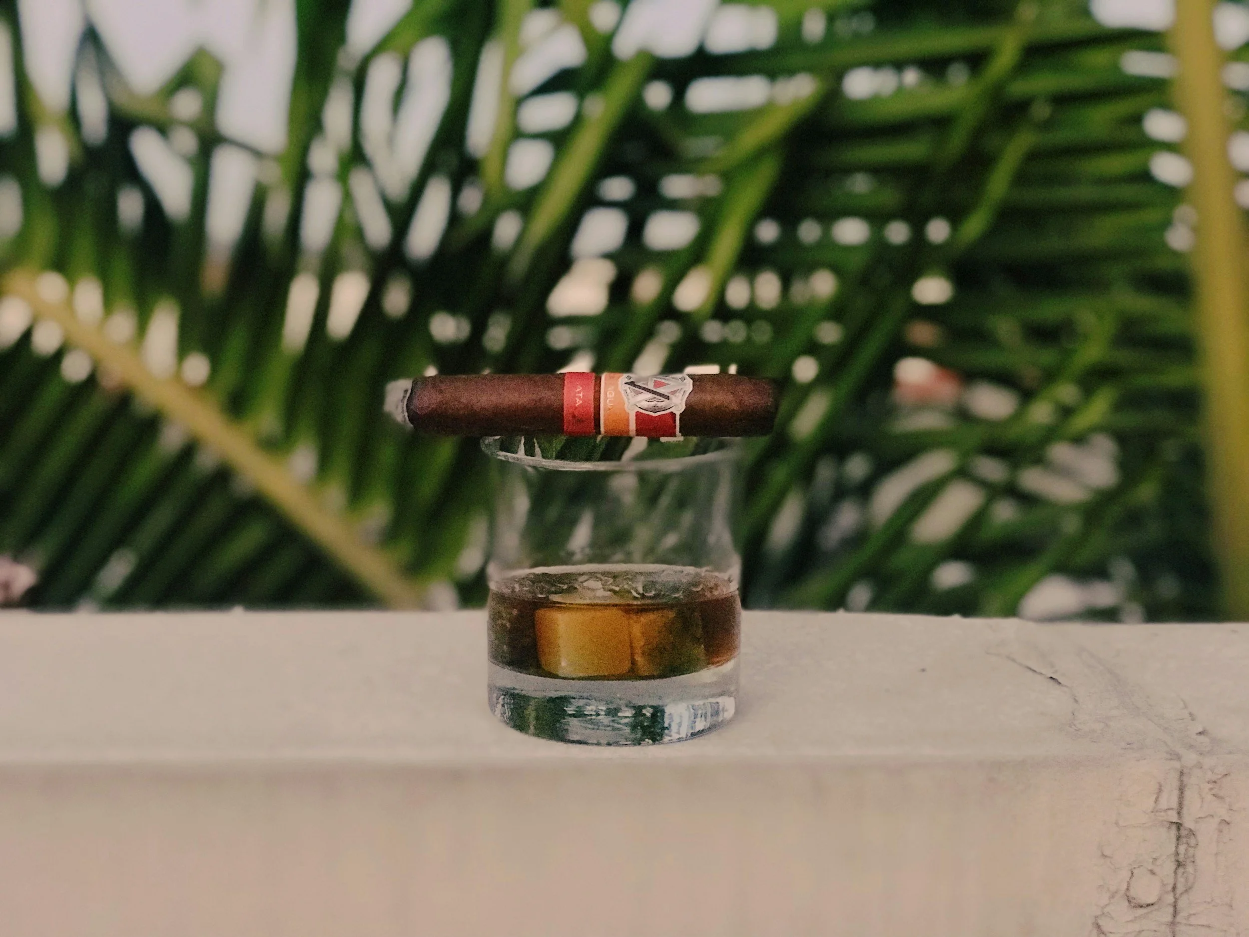 cigar pairings