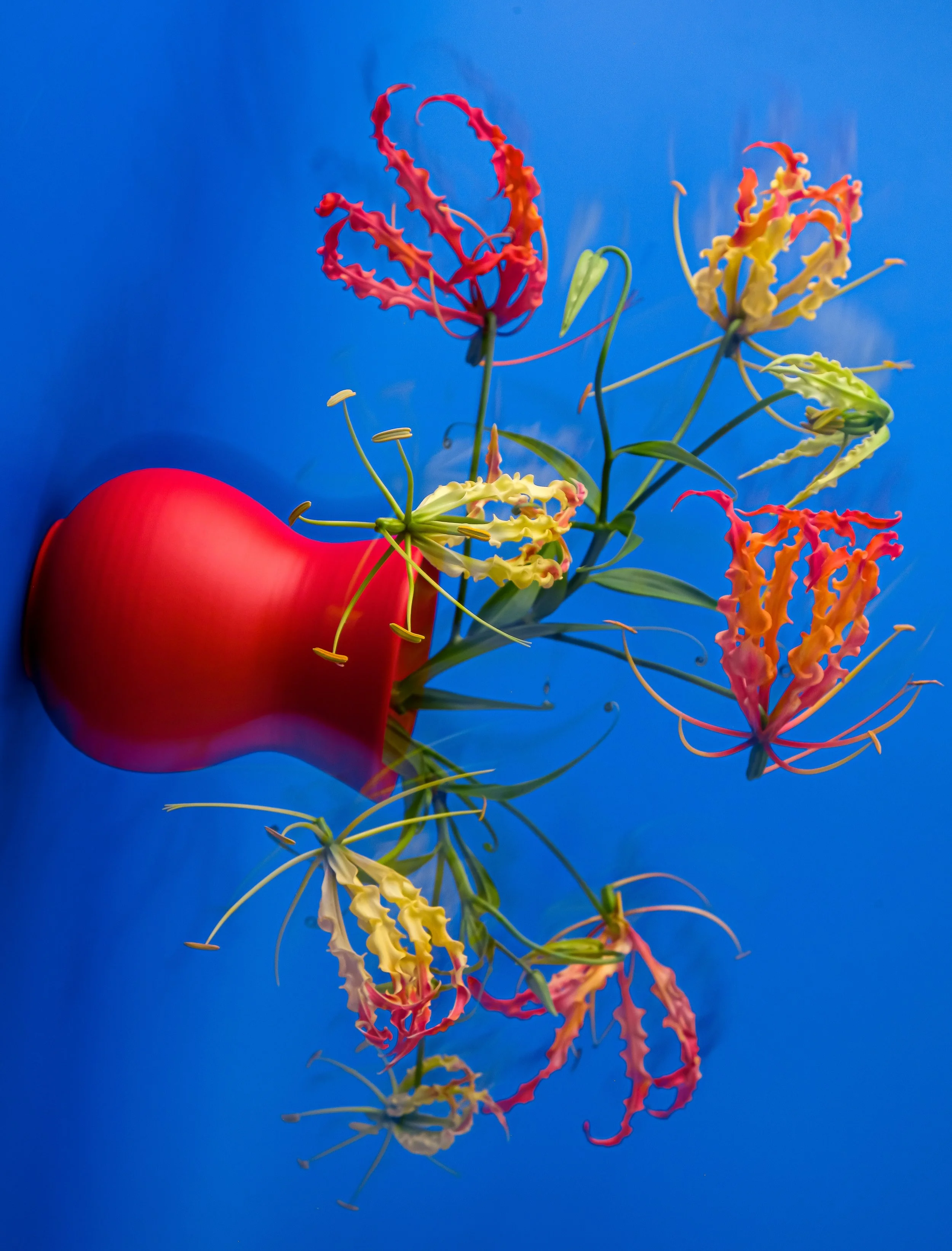 A Falling Vase, 2024