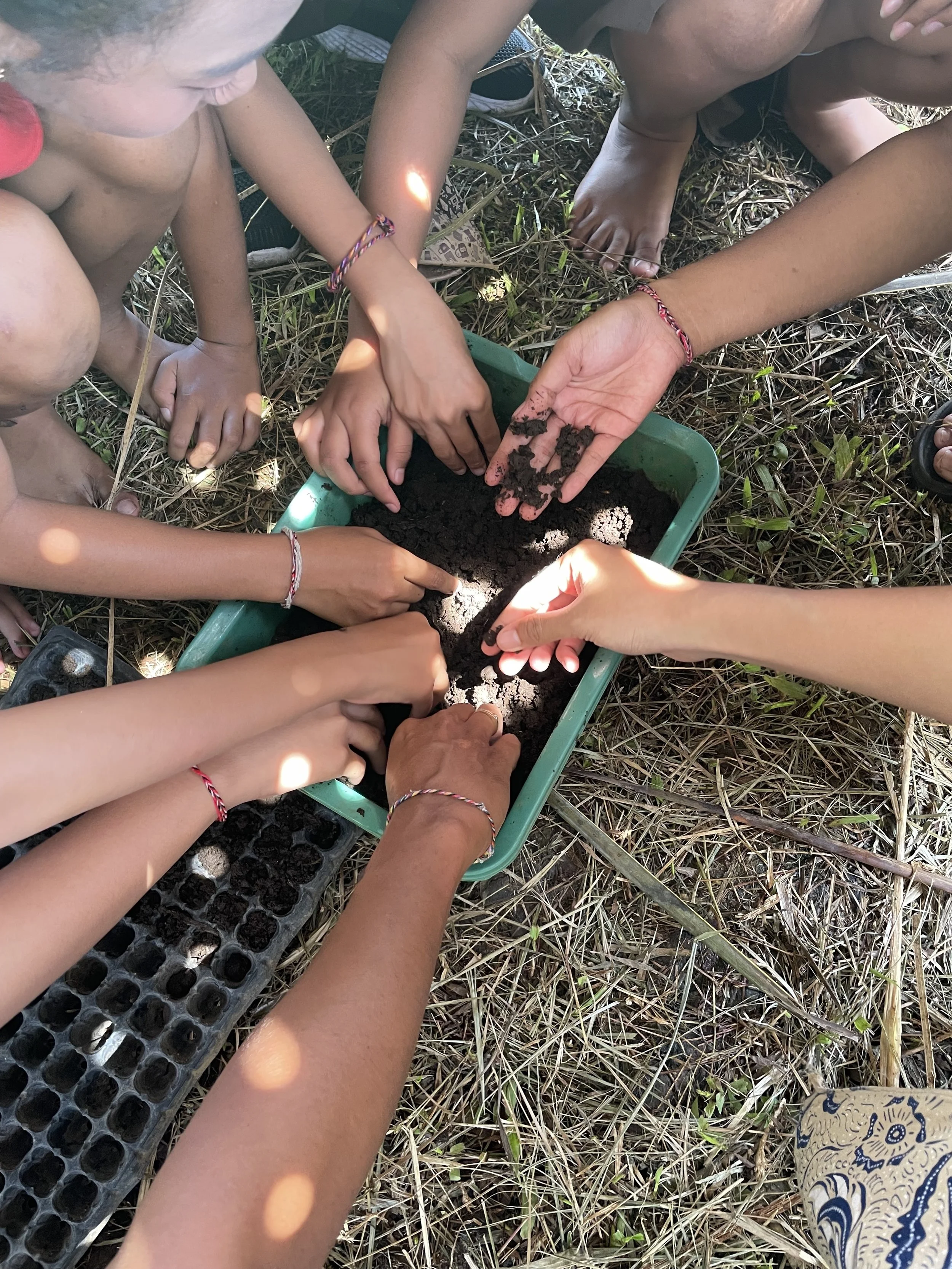 IMG_1961.jpg