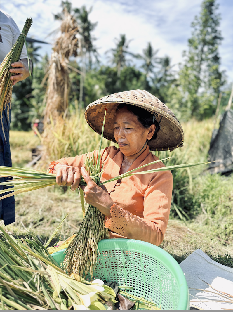 Screenshot 2026-02-26 at 10.17.27.png